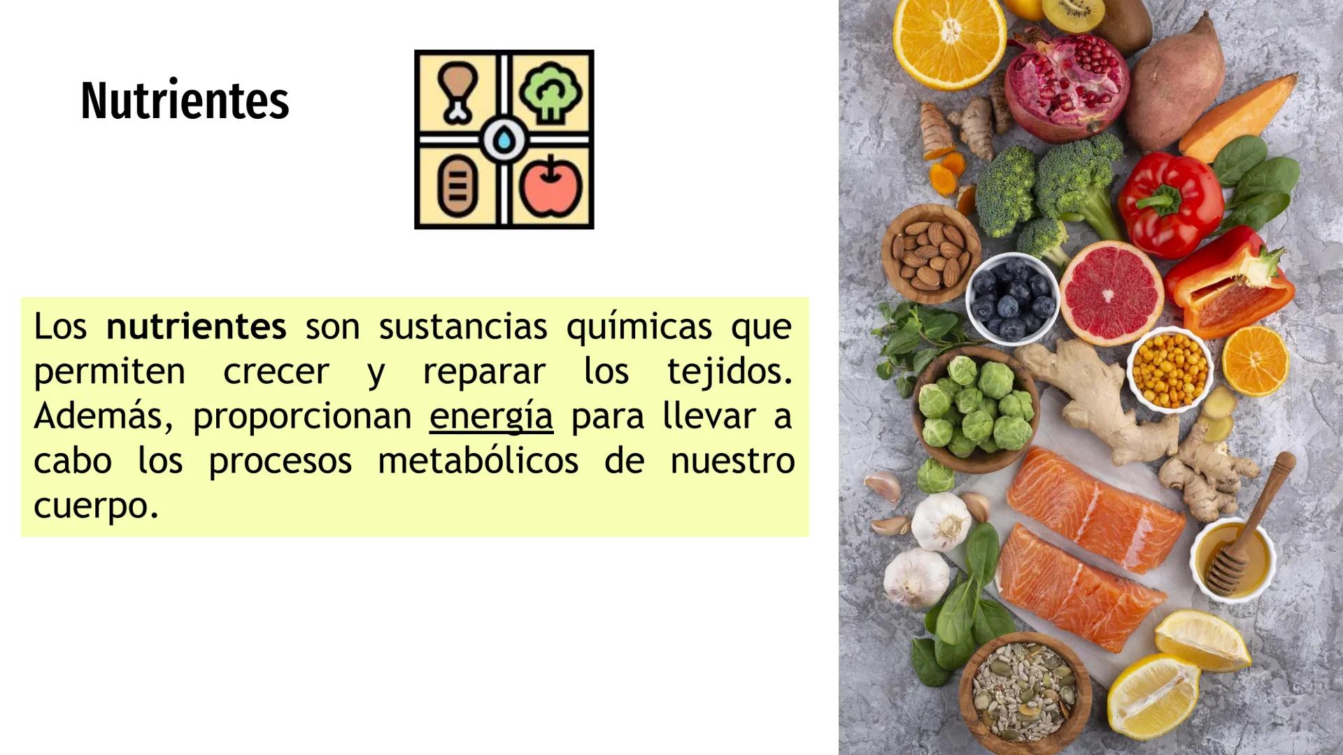# Nutrientes
y sus consecuencias
Fernanda Lucero Ticket de entrada
1) Elabora una lista de los alimentos que consumiste en el
almuerzo de a