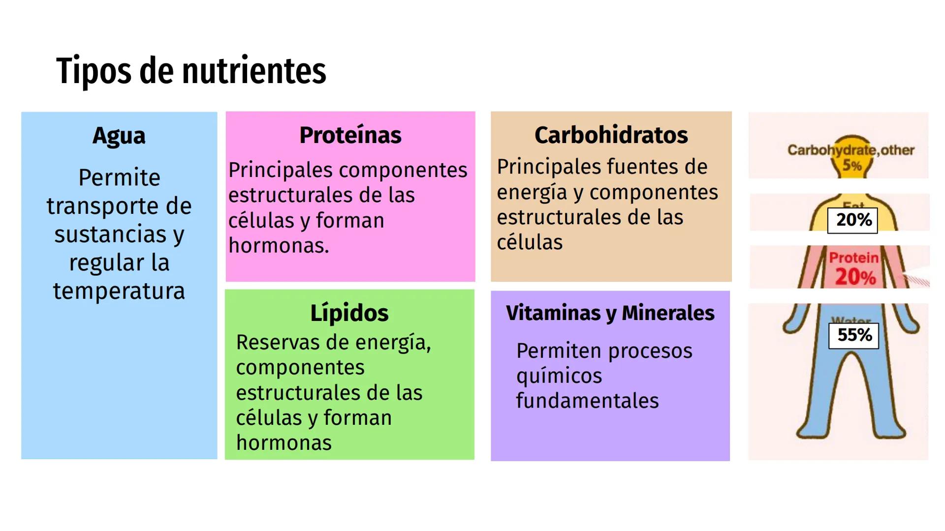 # Nutrientes
y sus consecuencias
Fernanda Lucero Ticket de entrada
1) Elabora una lista de los alimentos que consumiste en el
almuerzo de a