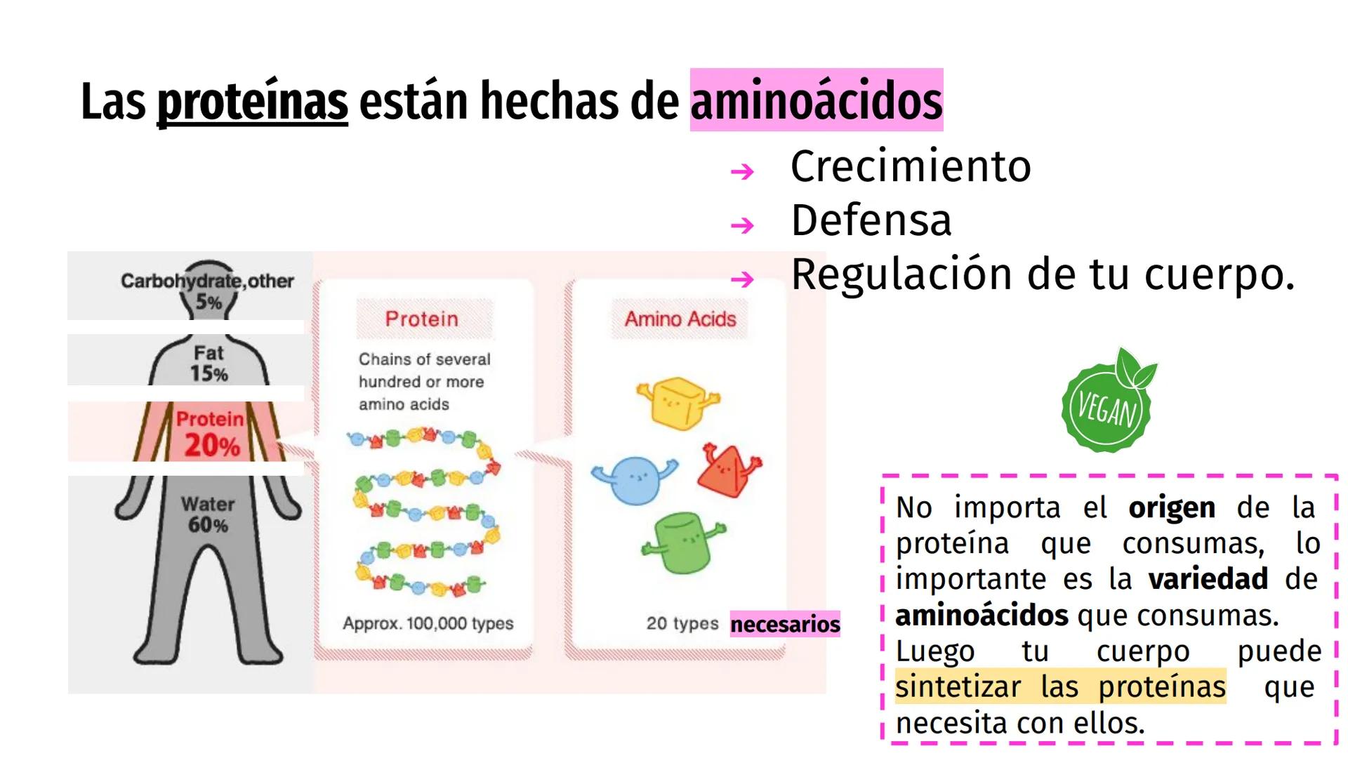 # Nutrientes
y sus consecuencias
Fernanda Lucero Ticket de entrada
1) Elabora una lista de los alimentos que consumiste en el
almuerzo de a
