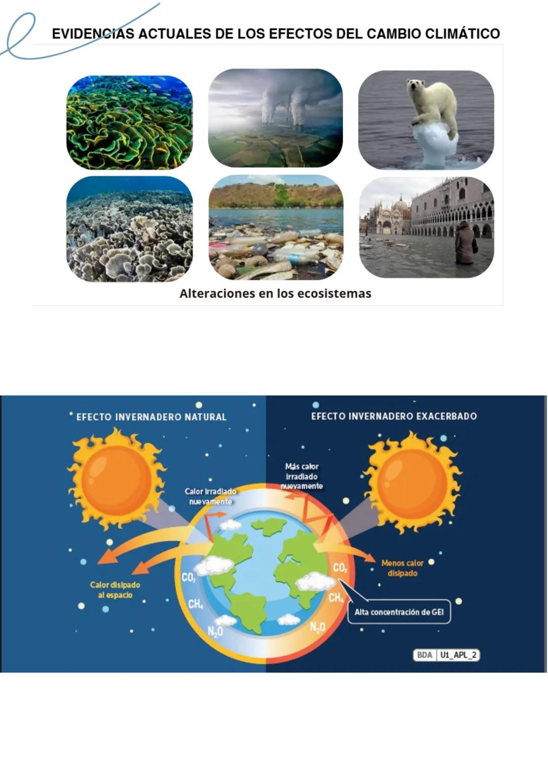 Noelia Quintana
# RESUMEN
# CIENCIAS
Abril 2025 CAMBIO
CLIMÁTICO
¿Que es el cambio climático?
El cambio climático se refiere a los cambios