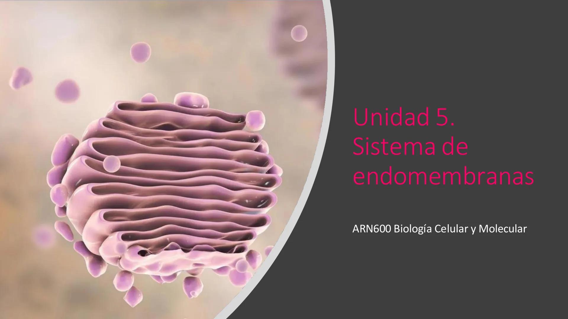 # Unidad 5.
Sistema de
endomembranas
ARN600 Biología Celular y Molecular # Objetivos de Aprendizaje
- Conocer los compartimentos membrano