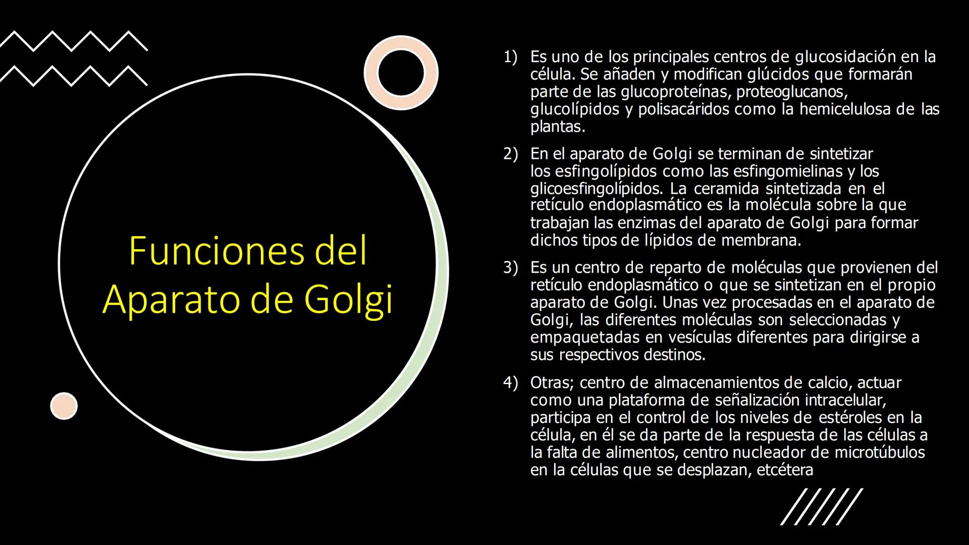 # Unidad 5.
Sistema de
endomembranas
ARN600 Biología Celular y Molecular # Objetivos de Aprendizaje
- Conocer los compartimentos membrano