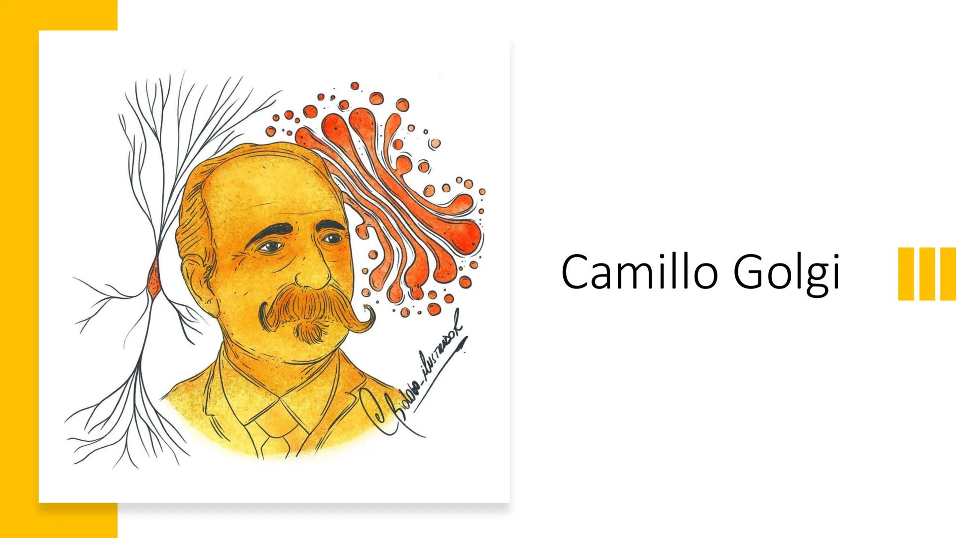 # Unidad 5.
Sistema de
endomembranas
ARN600 Biología Celular y Molecular # Objetivos de Aprendizaje
- Conocer los compartimentos membrano