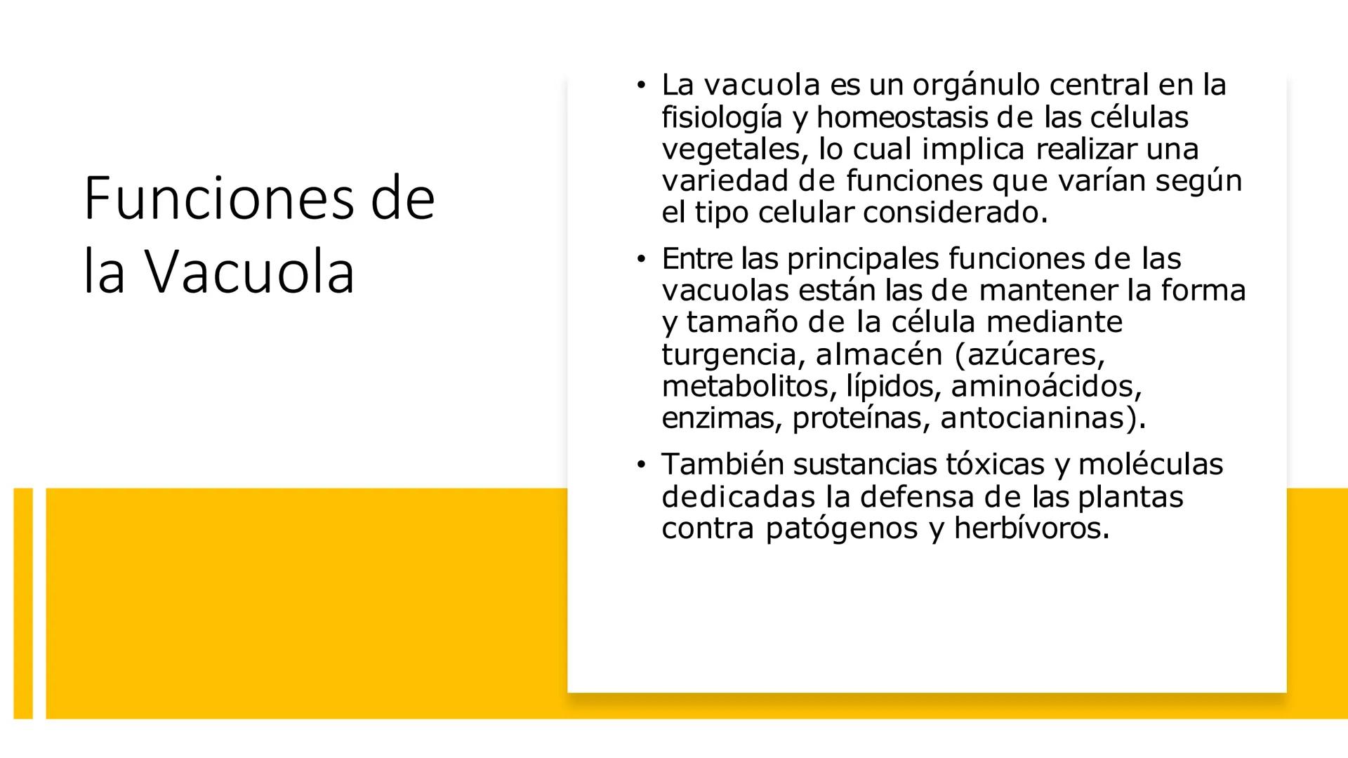 # Unidad 5.
Sistema de
endomembranas
ARN600 Biología Celular y Molecular # Objetivos de Aprendizaje
- Conocer los compartimentos membrano