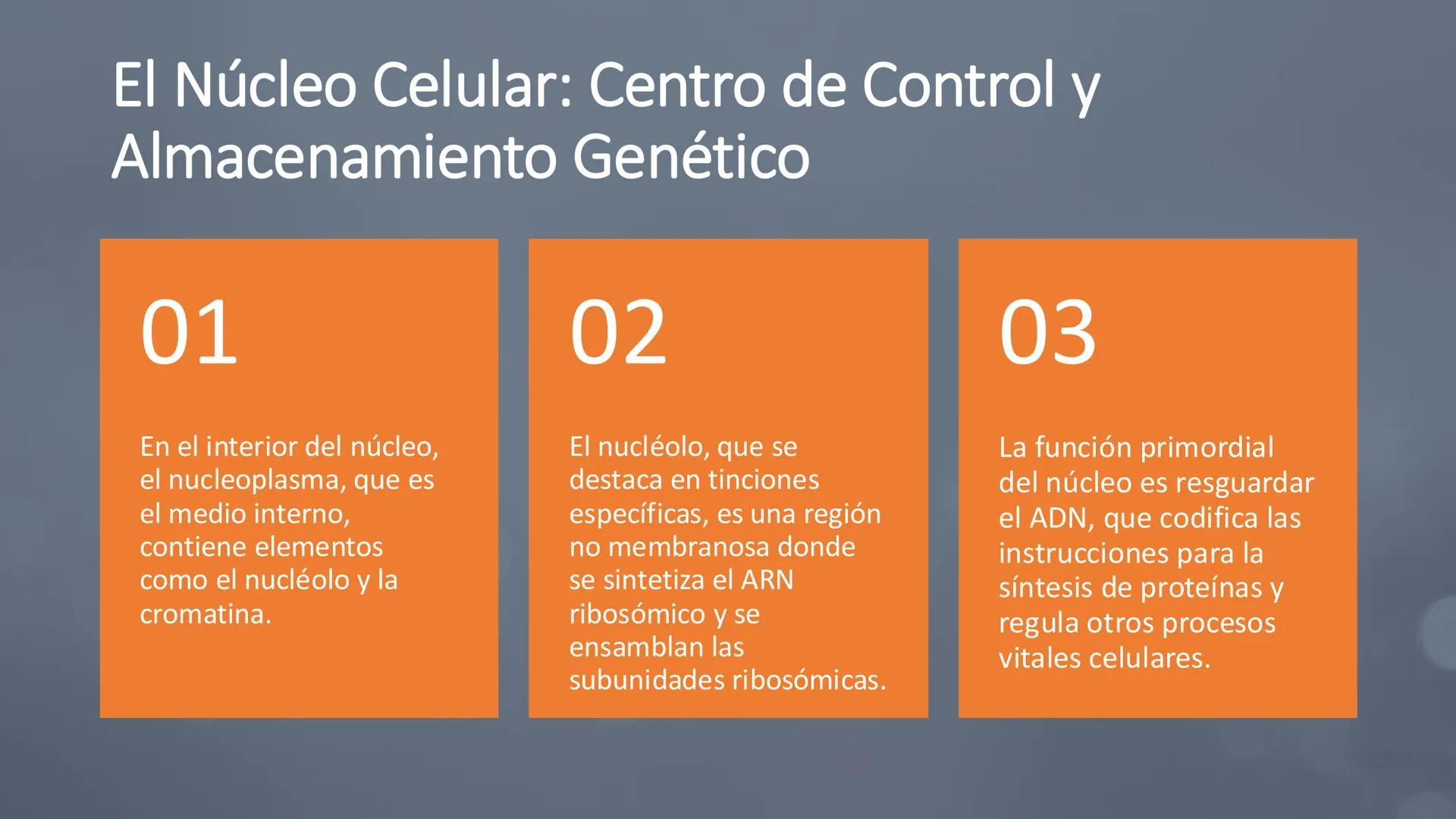 # Unidad 6.
Estructura y
función del
núcleo celular
ARN600 Biología Celular y Molecular Objetivos de
Aprendizaje
Nucleus
Nuclear
Nuclear en