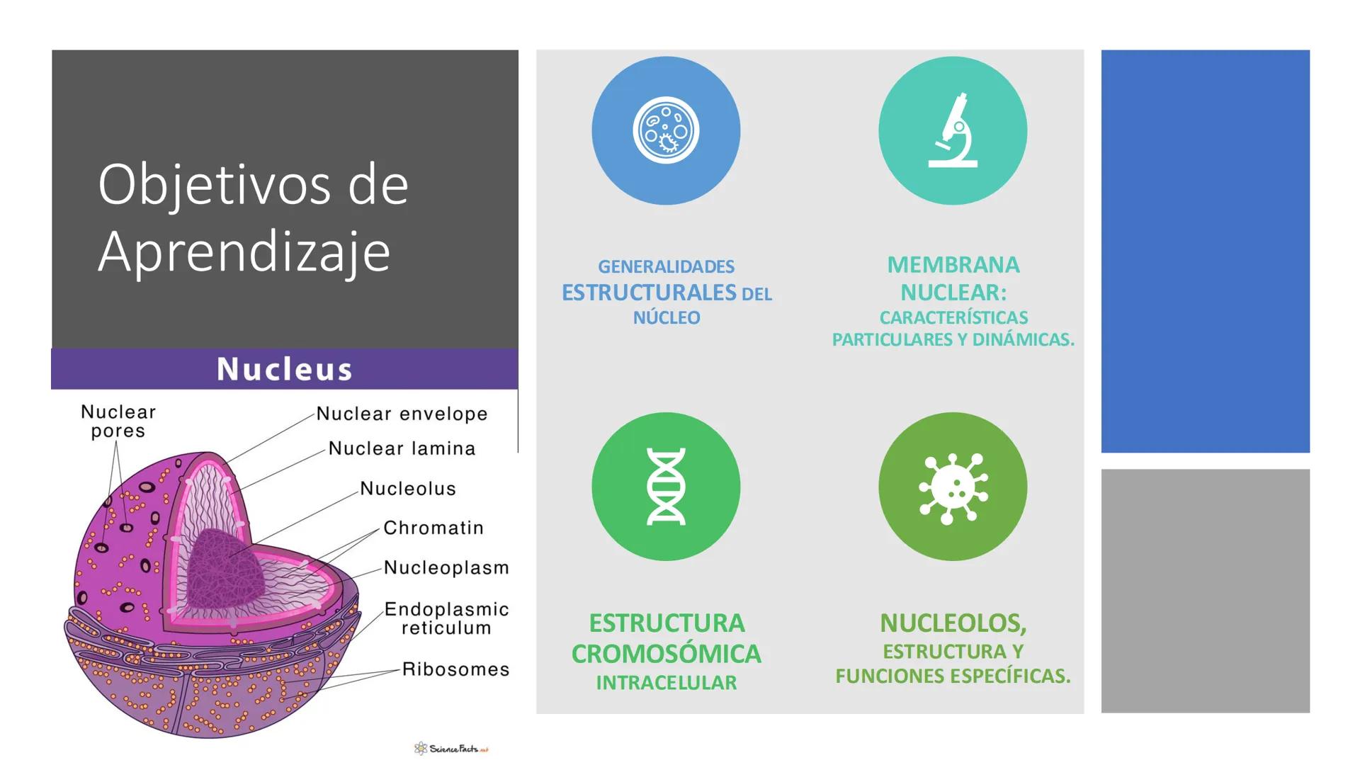 # Unidad 6.
Estructura y
función del
núcleo celular
ARN600 Biología Celular y Molecular Objetivos de
Aprendizaje
Nucleus
Nuclear
Nuclear en