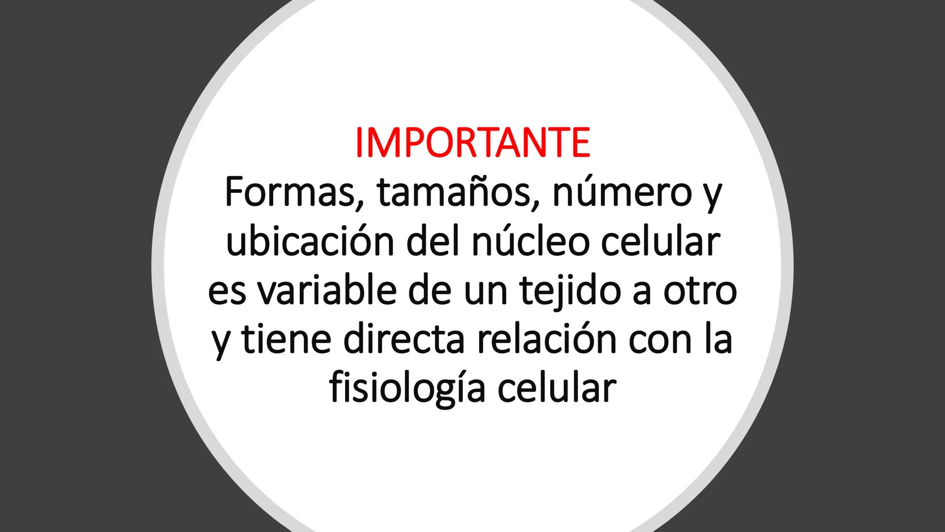 # Unidad 6.
Estructura y
función del
núcleo celular
ARN600 Biología Celular y Molecular Objetivos de
Aprendizaje
Nucleus
Nuclear
Nuclear en