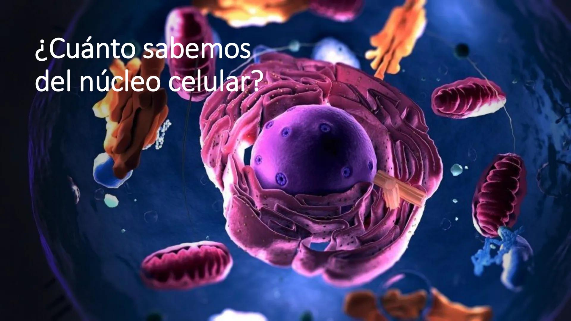 # Unidad 6.
Estructura y
función del
núcleo celular
ARN600 Biología Celular y Molecular Objetivos de
Aprendizaje
Nucleus
Nuclear
Nuclear en