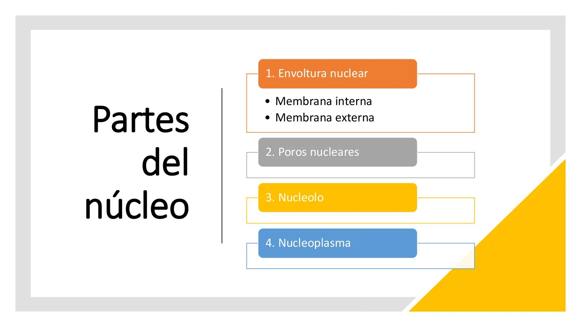 # Unidad 6.
Estructura y
función del
núcleo celular
ARN600 Biología Celular y Molecular Objetivos de
Aprendizaje
Nucleus
Nuclear
Nuclear en