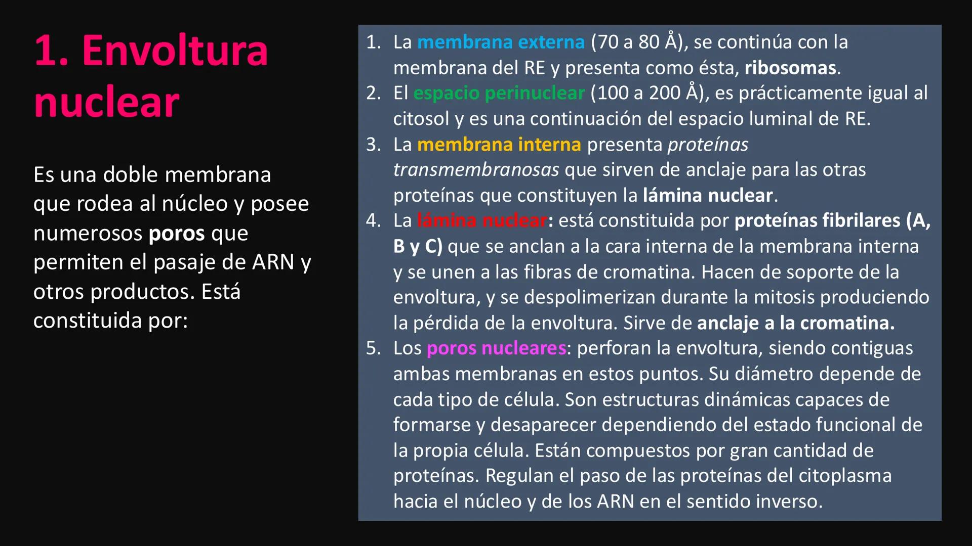 # Unidad 6.
Estructura y
función del
núcleo celular
ARN600 Biología Celular y Molecular Objetivos de
Aprendizaje
Nucleus
Nuclear
Nuclear en