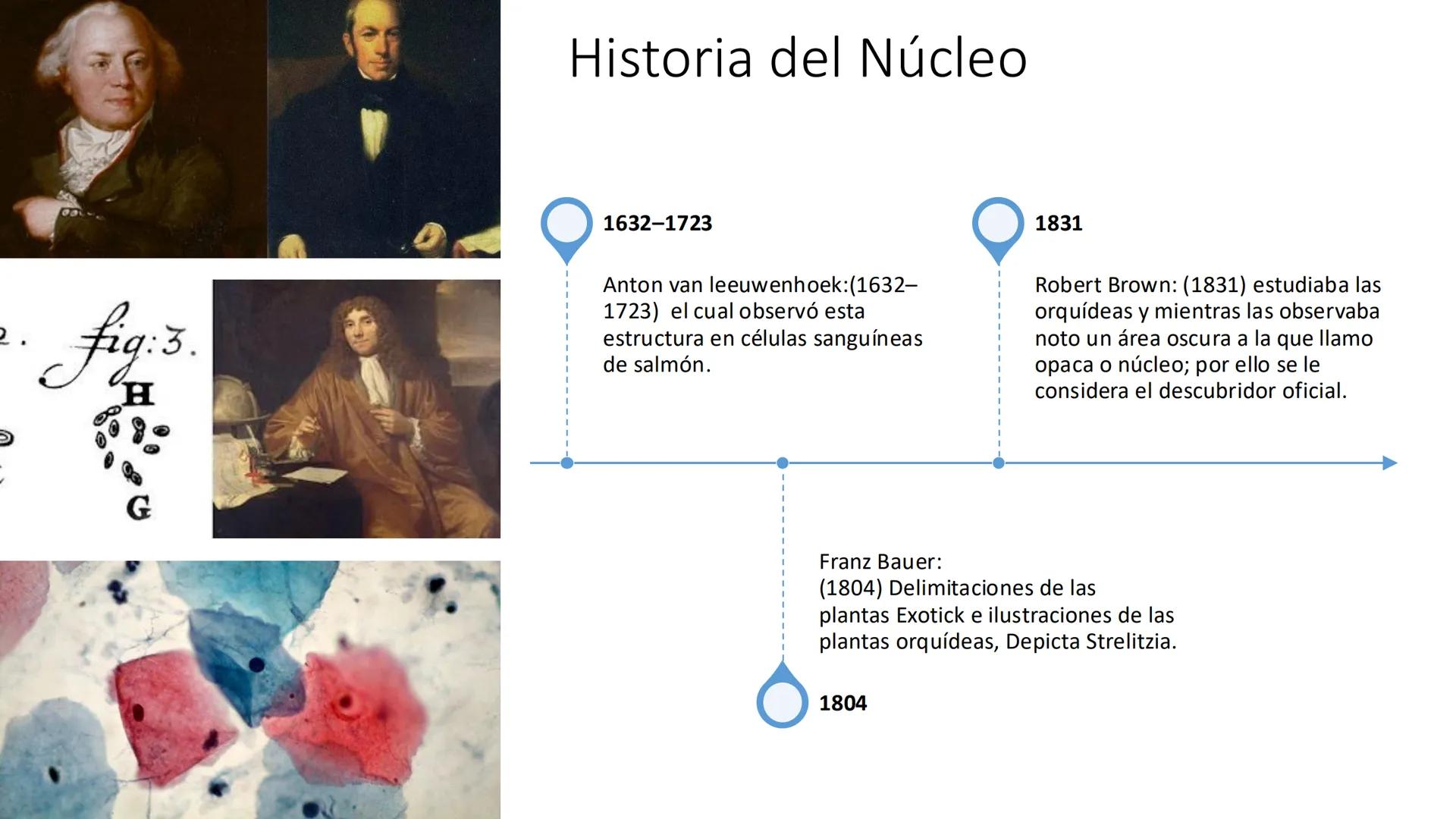 # Unidad 6.
Estructura y
función del
núcleo celular
ARN600 Biología Celular y Molecular Objetivos de
Aprendizaje
Nucleus
Nuclear
Nuclear en