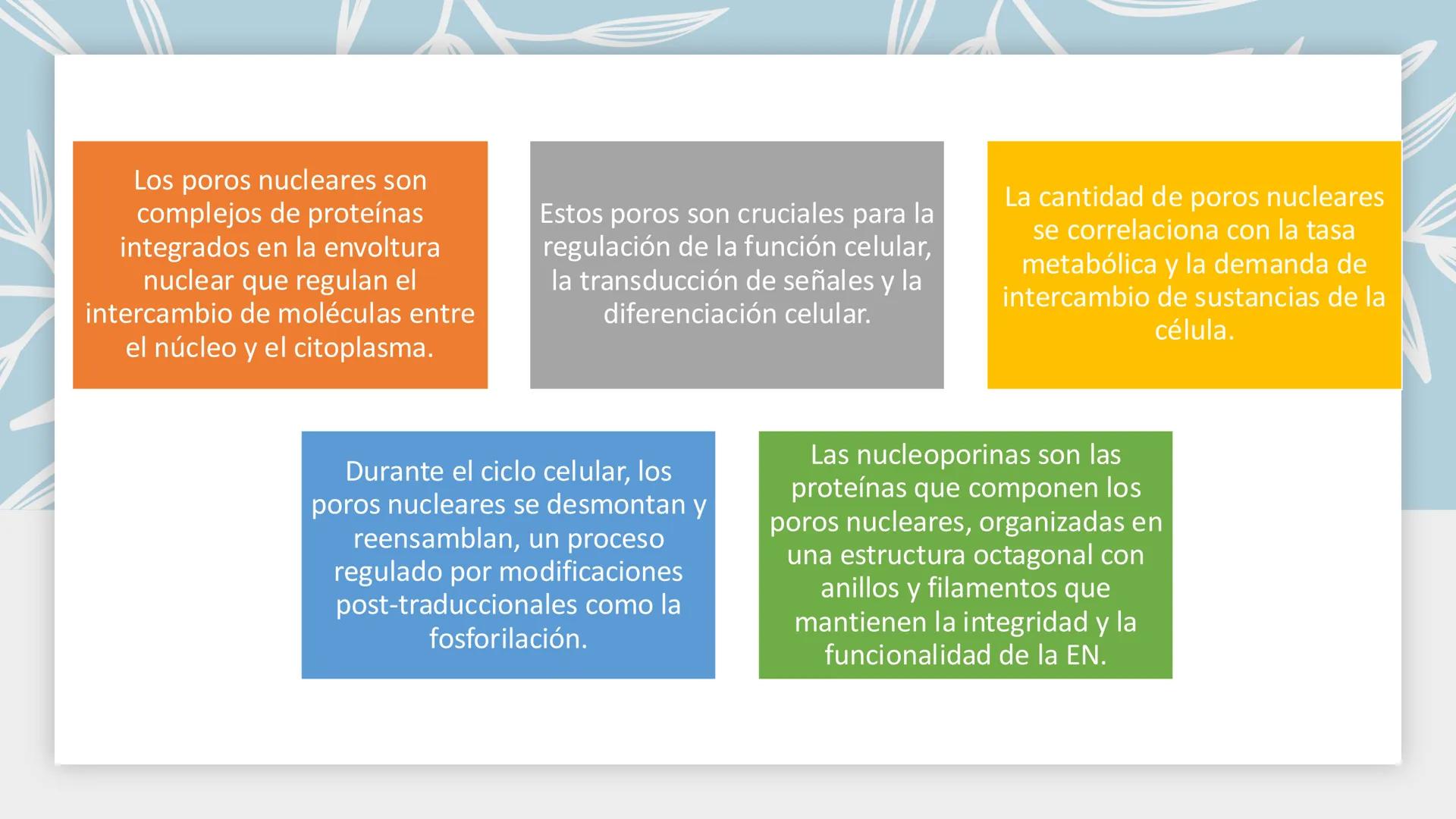 # Unidad 6.
Estructura y
función del
núcleo celular
ARN600 Biología Celular y Molecular Objetivos de
Aprendizaje
Nucleus
Nuclear
Nuclear en