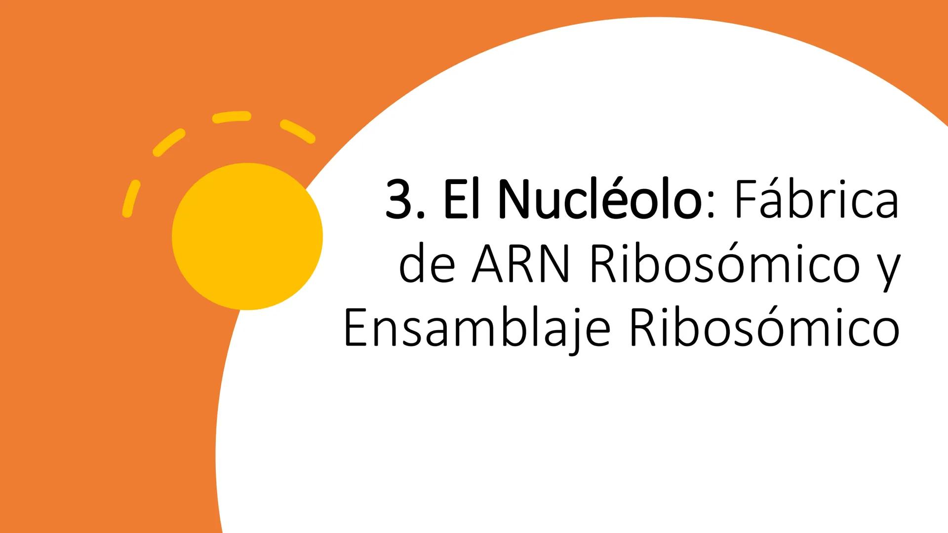 # Unidad 6.
Estructura y
función del
núcleo celular
ARN600 Biología Celular y Molecular Objetivos de
Aprendizaje
Nucleus
Nuclear
Nuclear en