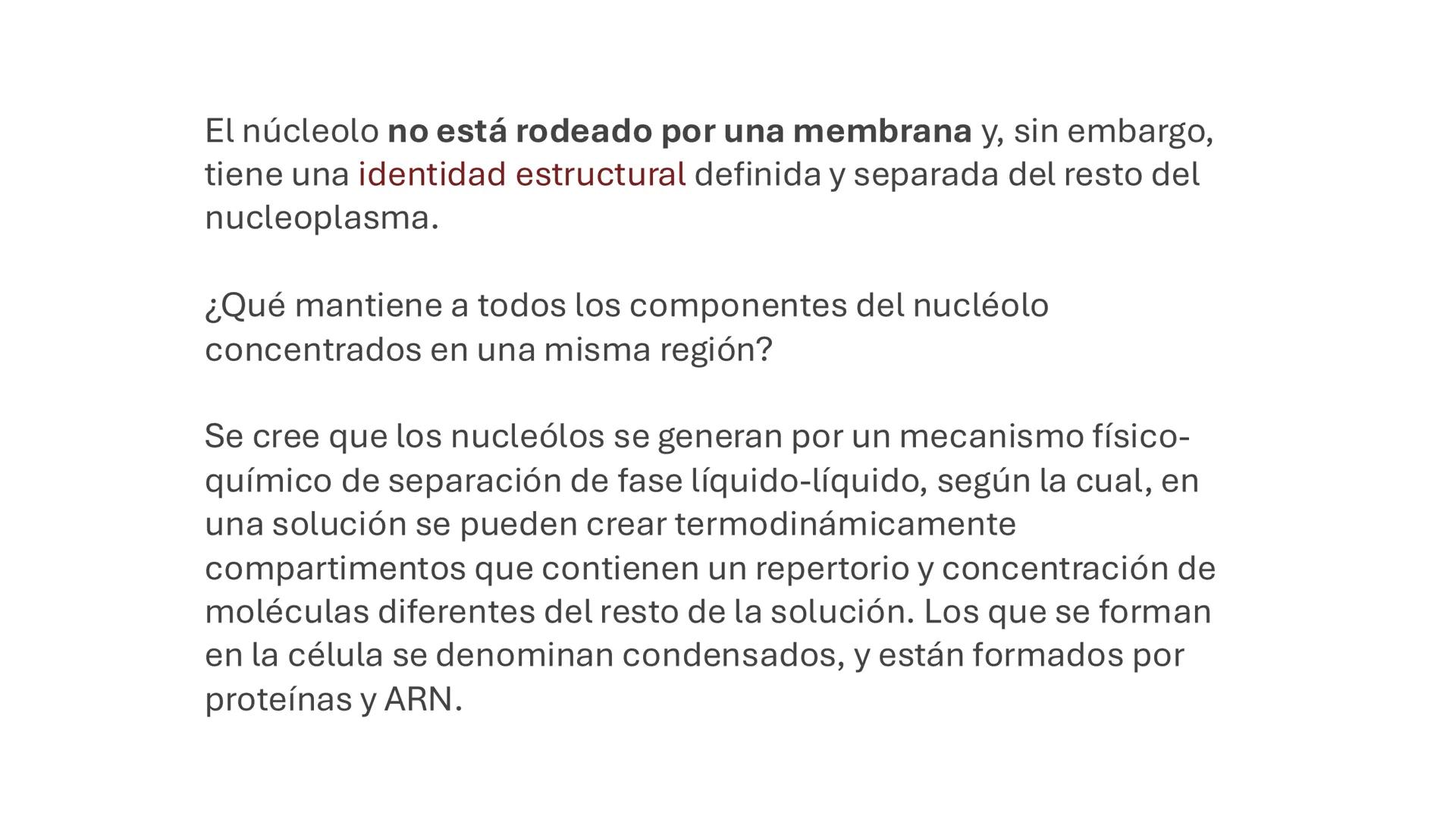 # Unidad 6.
Estructura y
función del
núcleo celular
ARN600 Biología Celular y Molecular Objetivos de
Aprendizaje
Nucleus
Nuclear
Nuclear en
