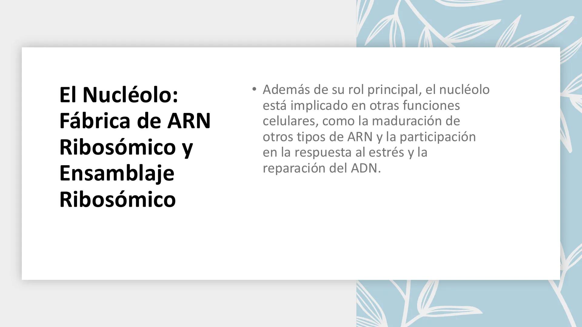 # Unidad 6.
Estructura y
función del
núcleo celular
ARN600 Biología Celular y Molecular Objetivos de
Aprendizaje
Nucleus
Nuclear
Nuclear en