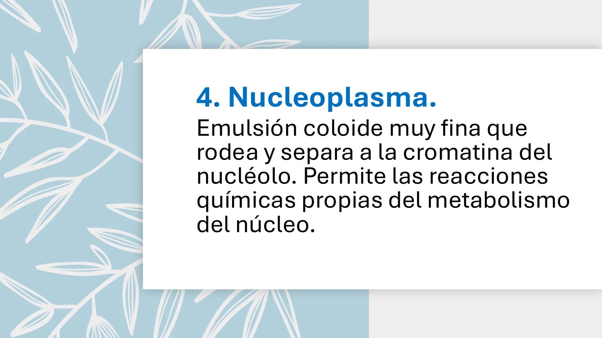 # Unidad 6.
Estructura y
función del
núcleo celular
ARN600 Biología Celular y Molecular Objetivos de
Aprendizaje
Nucleus
Nuclear
Nuclear en