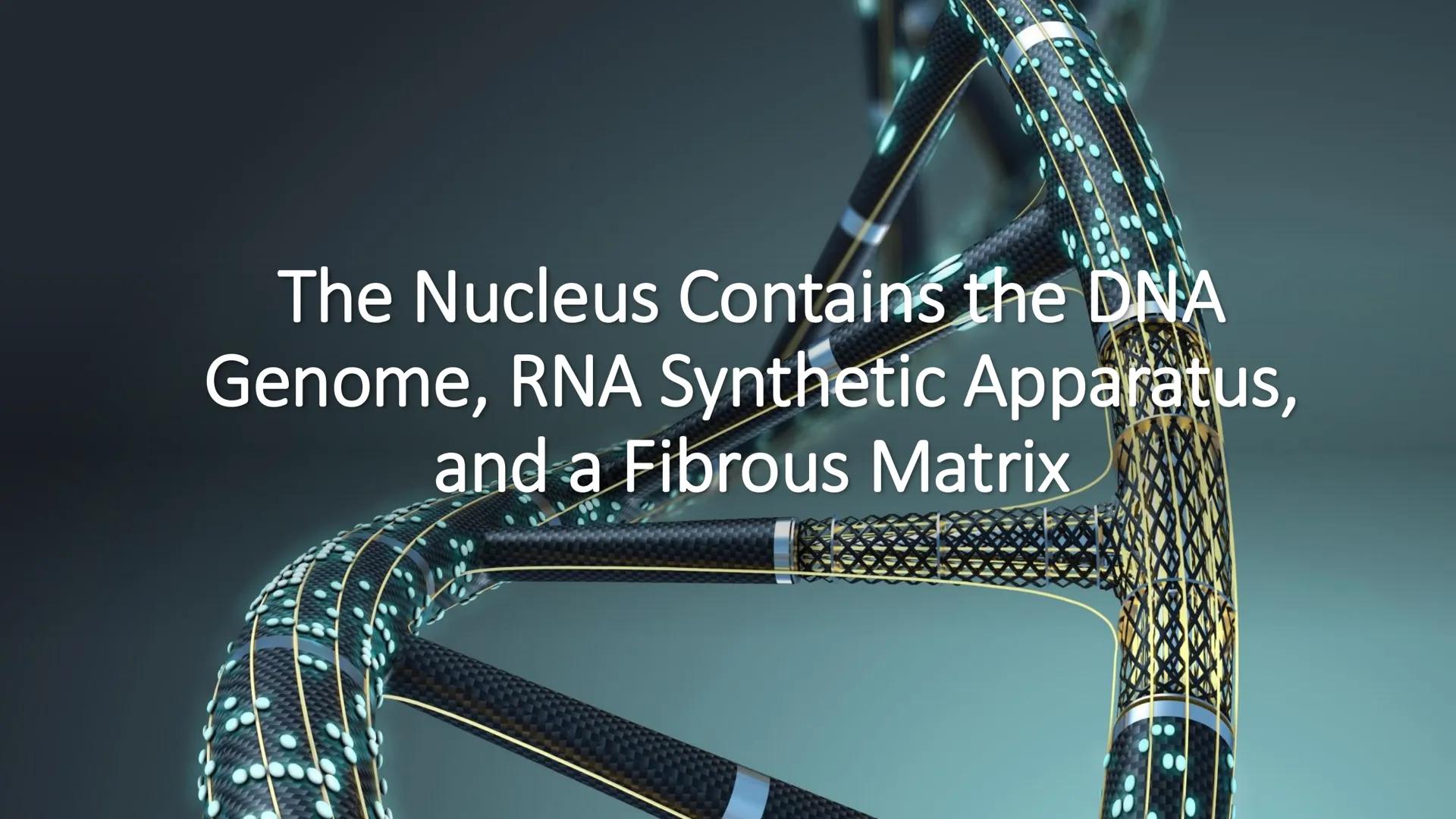 # Unidad 6.
Estructura y
función del
núcleo celular
ARN600 Biología Celular y Molecular Objetivos de
Aprendizaje
Nucleus
Nuclear
Nuclear en