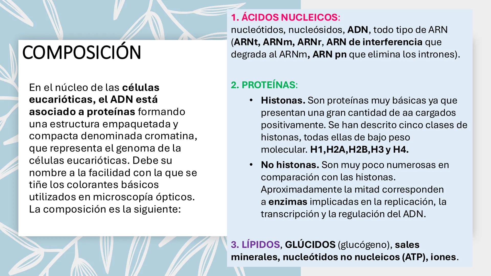 # Unidad 6.
Estructura y
función del
núcleo celular
ARN600 Biología Celular y Molecular Objetivos de
Aprendizaje
Nucleus
Nuclear
Nuclear en