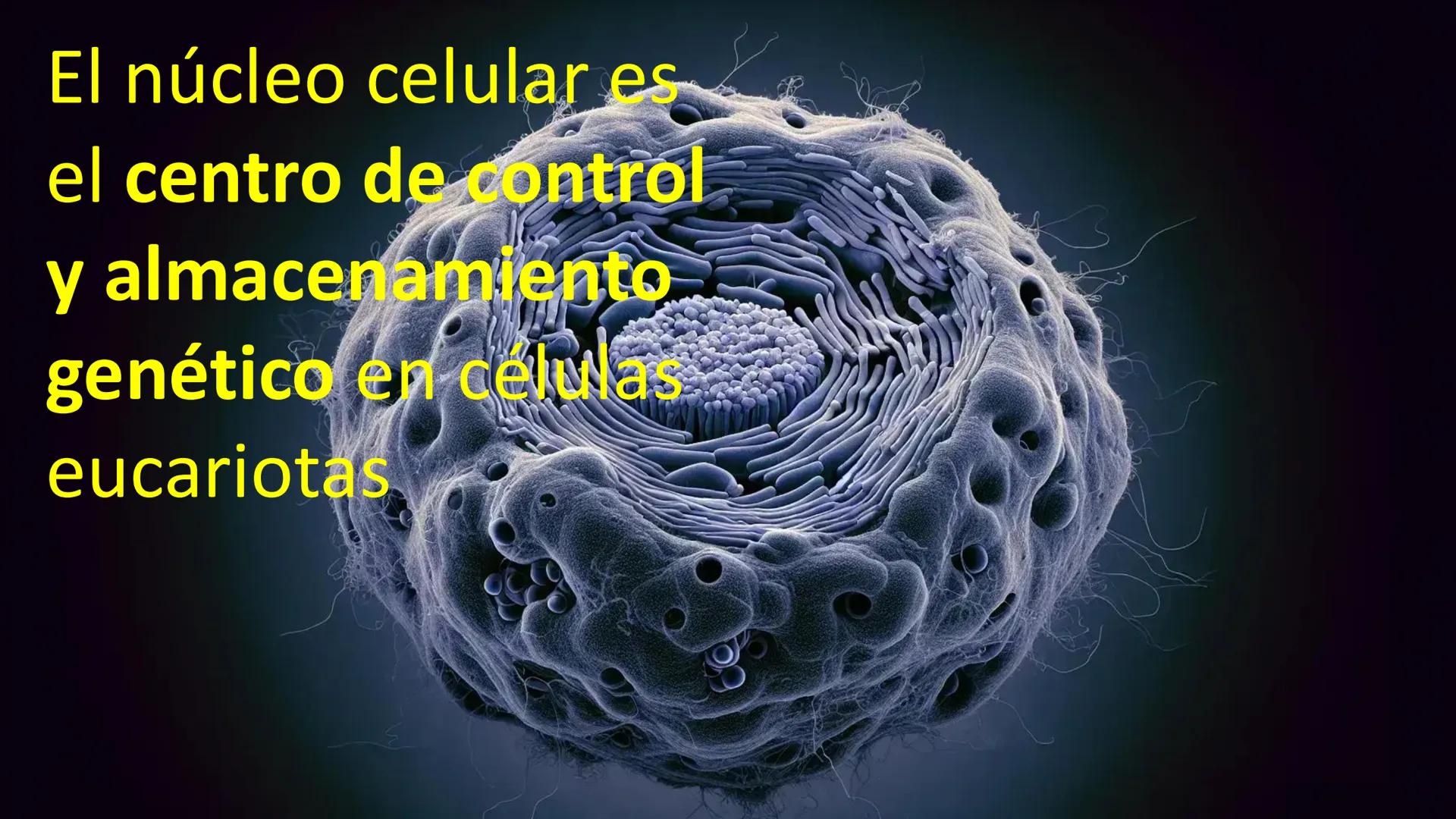 # Unidad 6.
Estructura y
función del
núcleo celular
ARN600 Biología Celular y Molecular Objetivos de
Aprendizaje
Nucleus
Nuclear
Nuclear en