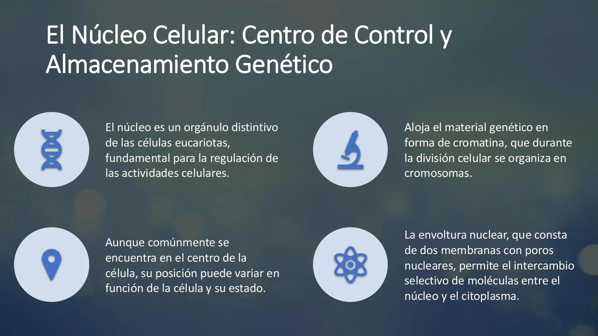 # Unidad 6.
Estructura y
función del
núcleo celular
ARN600 Biología Celular y Molecular Objetivos de
Aprendizaje
Nucleus
Nuclear
Nuclear en