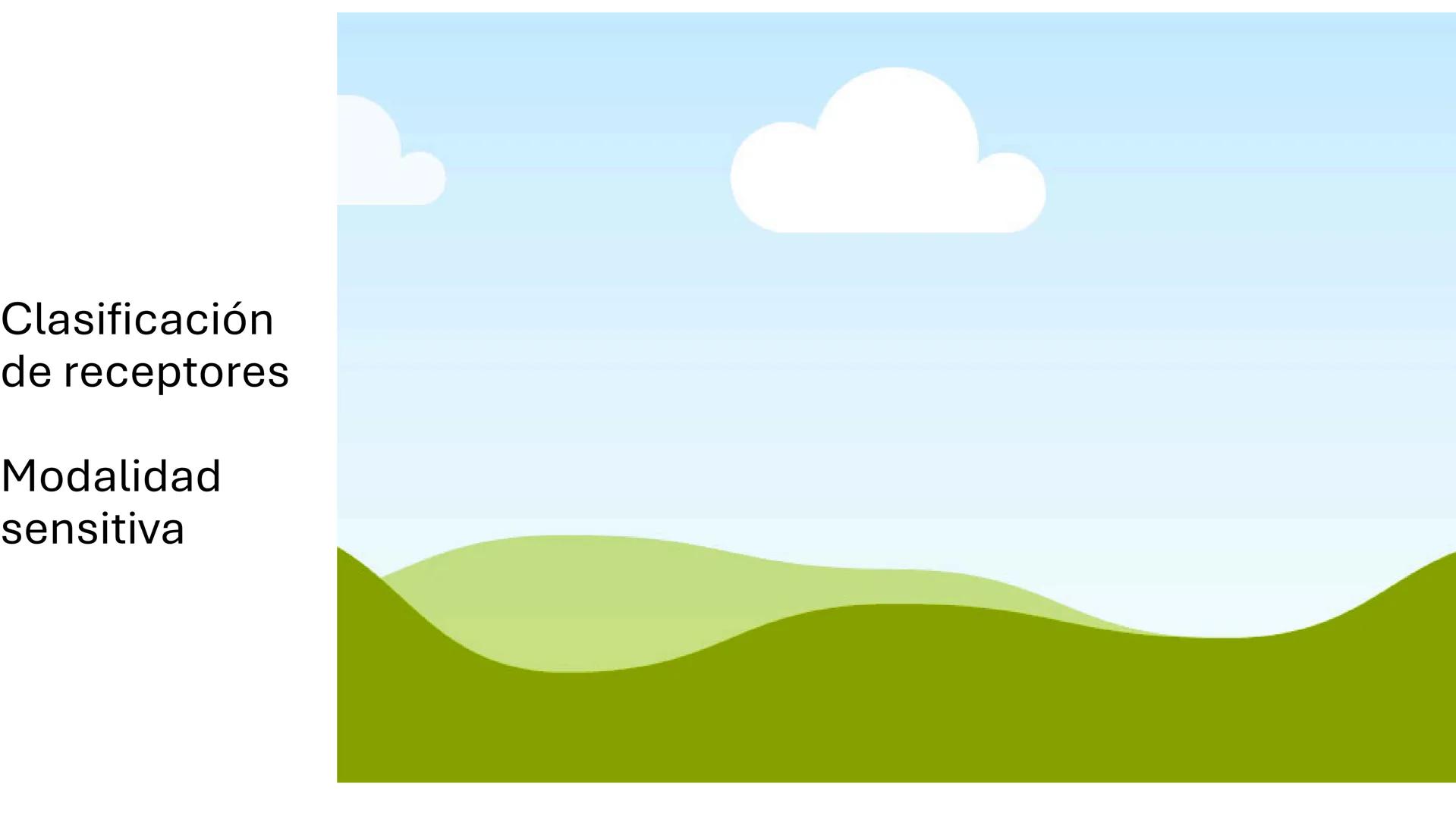 Sistema somatosensorial, tipos de
receptores sensoriales, modalidad y
función Sensibilidad
La sensibilidad implica la capacidad de transduci