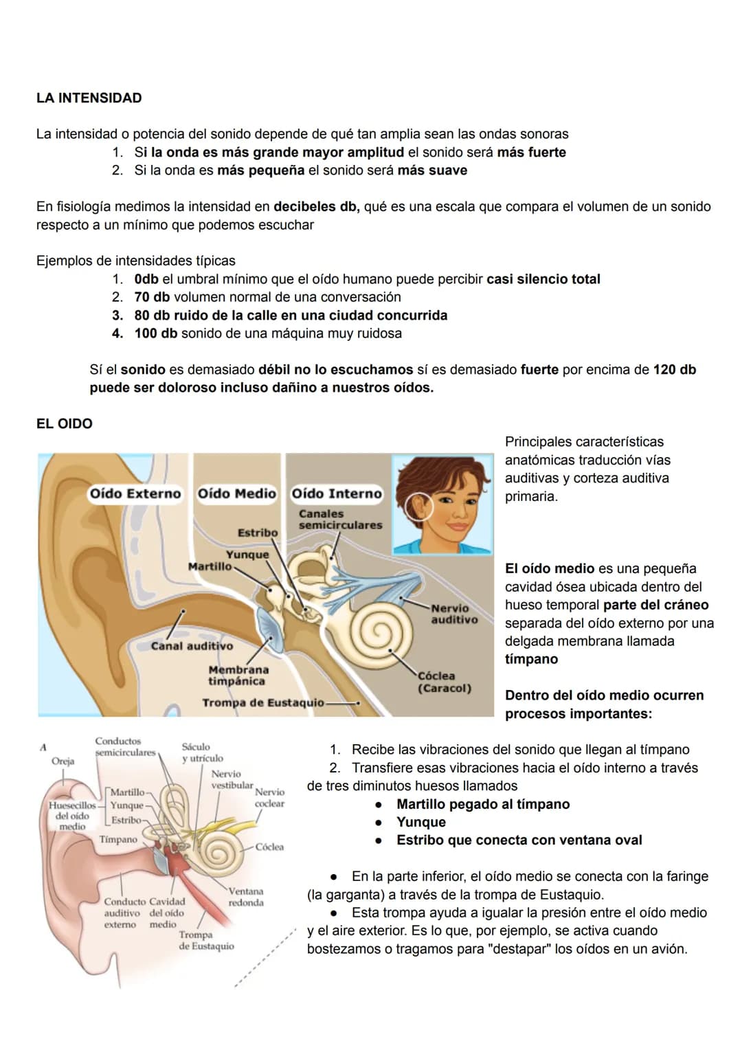 --- OCR Start ---
CARACTERÍSTICAS DEL SONIDO
Las características del sonido son propiedades que nos permiten describir cómo percibimos un so