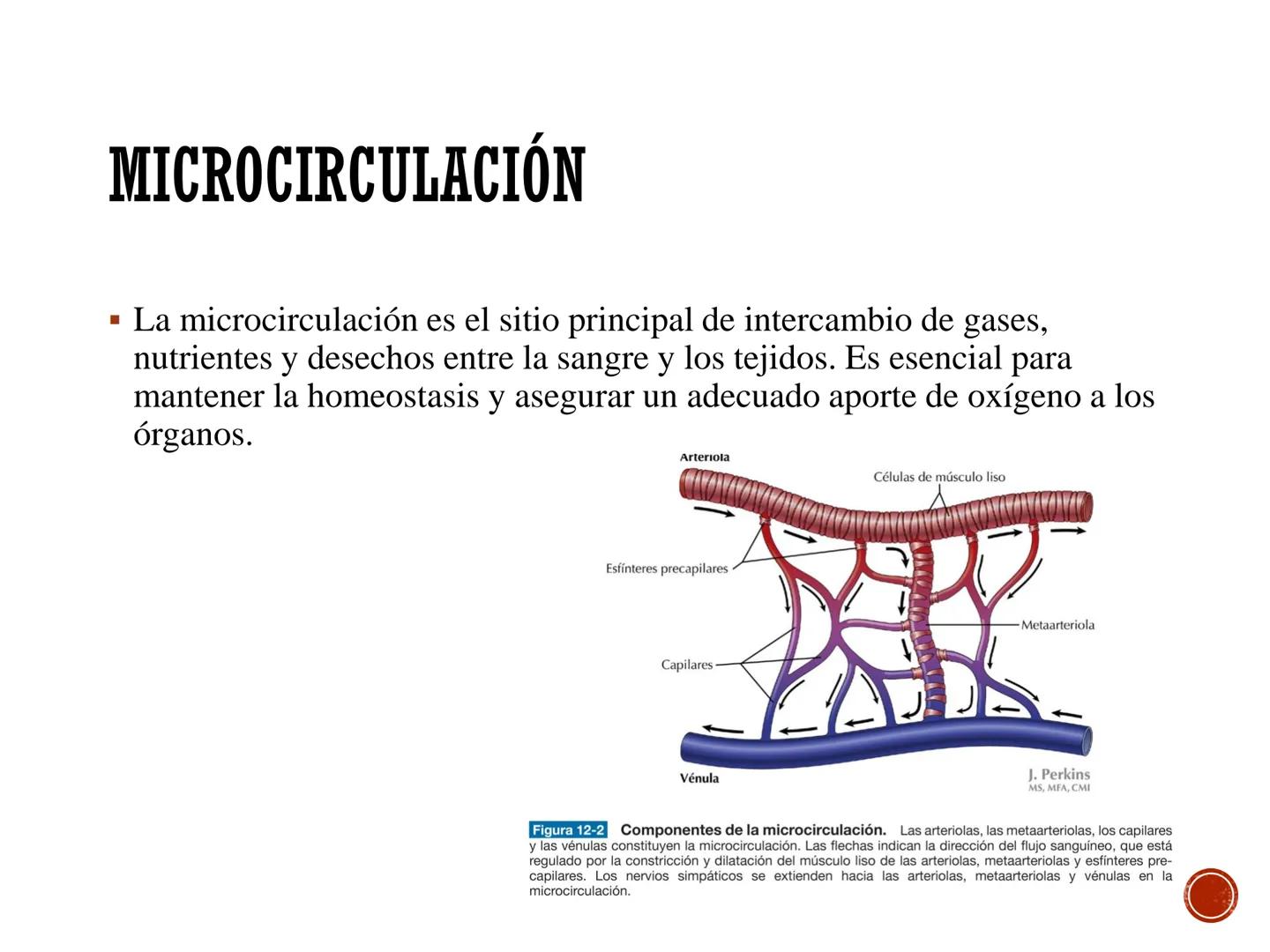# FISIOLOGÍA
# CARDIOVASCULAR
Anexo: Microcirculación y circulaciones especiales MICROCIRCULACIÓN
■ La microcirculación es el sitio princip
