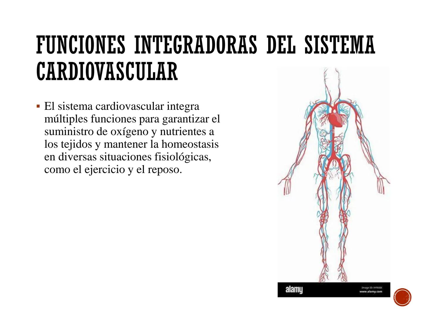 # FISIOLOGÍA
# CARDIOVASCULAR
Anexo: Microcirculación y circulaciones especiales MICROCIRCULACIÓN
■ La microcirculación es el sitio princip