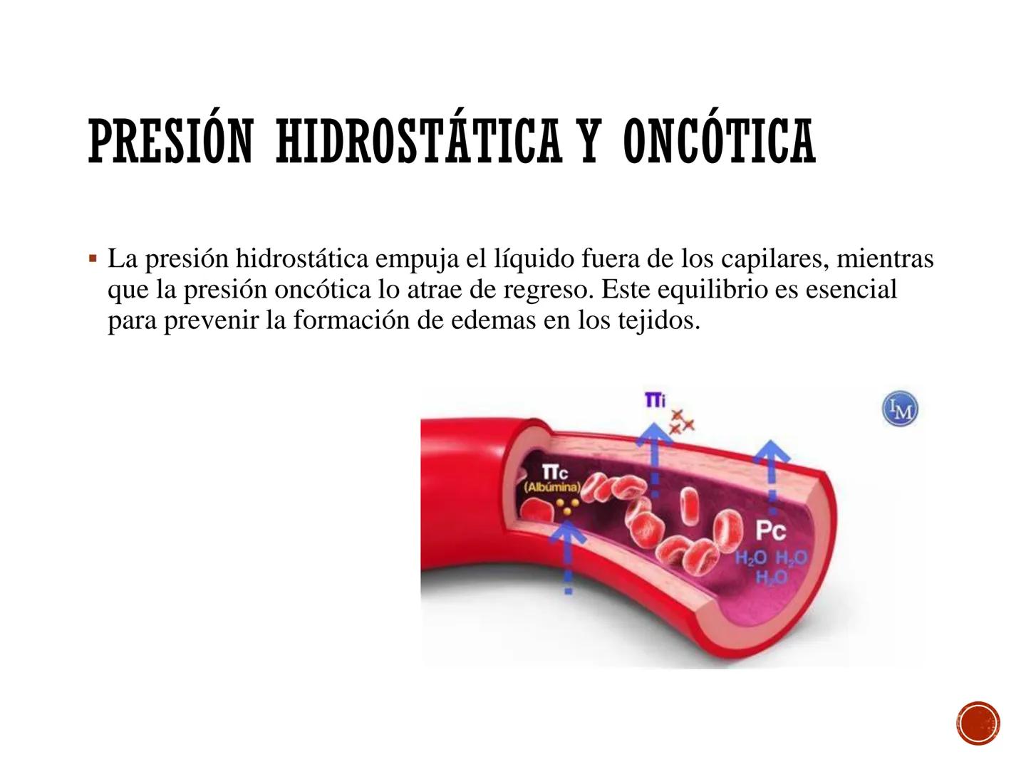 # FISIOLOGÍA
# CARDIOVASCULAR
Anexo: Microcirculación y circulaciones especiales MICROCIRCULACIÓN
■ La microcirculación es el sitio princip
