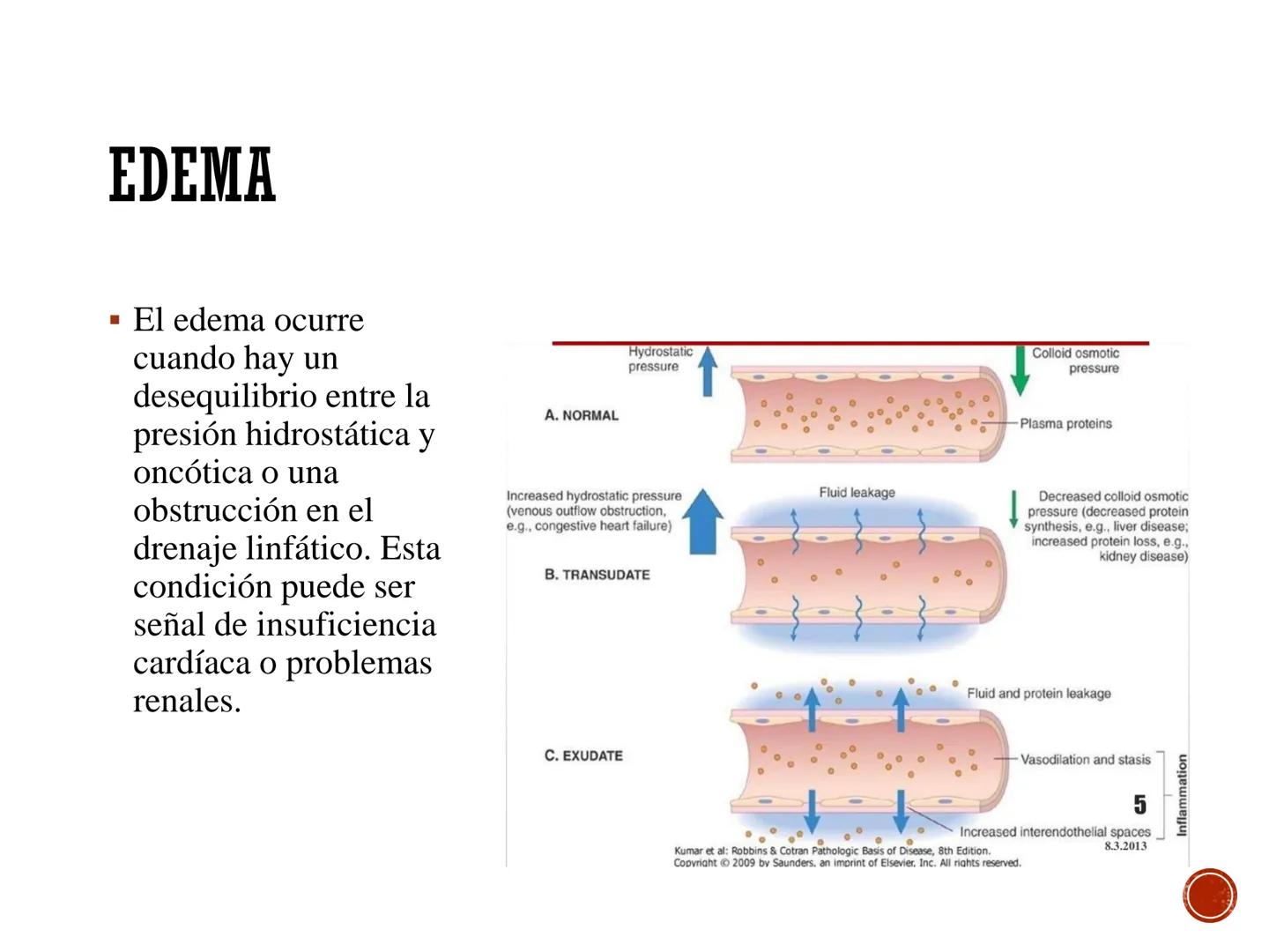 # FISIOLOGÍA
# CARDIOVASCULAR
Anexo: Microcirculación y circulaciones especiales MICROCIRCULACIÓN
■ La microcirculación es el sitio princip