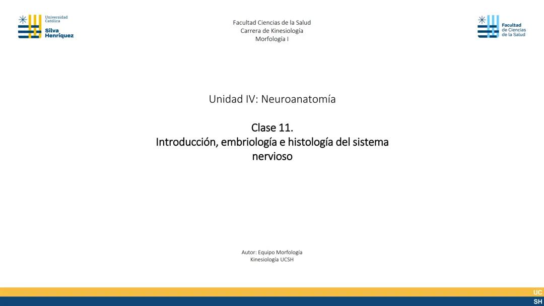 clase 11 morfología