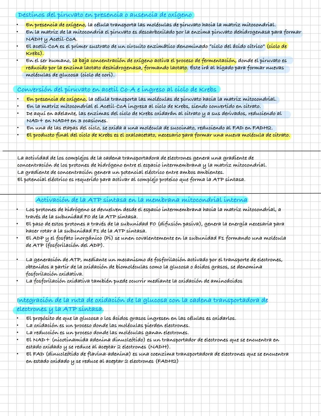 ¿Qué es la endocitosis?
Se trata de un proceso de incorporación de sustancias a la célula.
En el las sustancias se concentran en pequeñas de