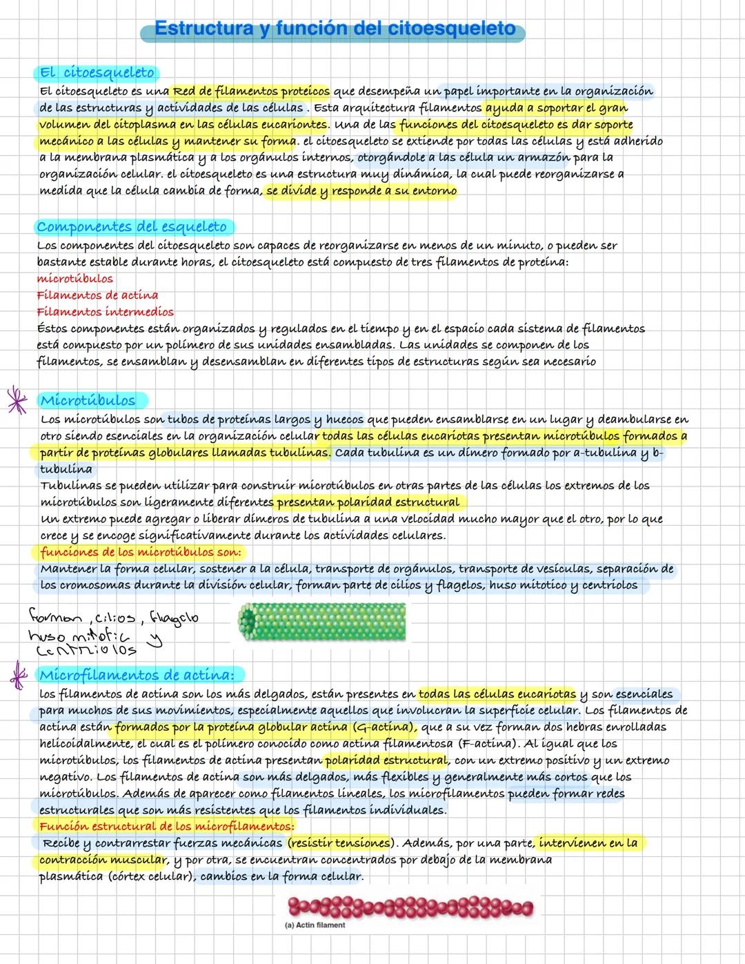 ¿Qué es la endocitosis?
Se trata de un proceso de incorporación de sustancias a la célula.
En el las sustancias se concentran en pequeñas de