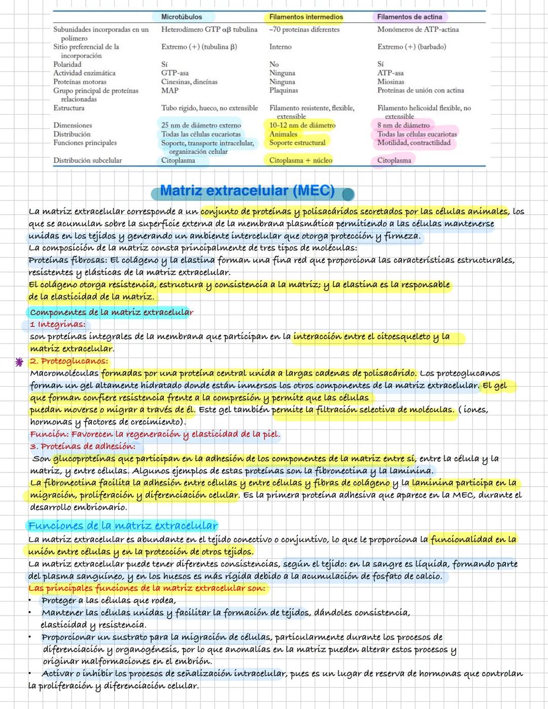 ¿Qué es la endocitosis?
Se trata de un proceso de incorporación de sustancias a la célula.
En el las sustancias se concentran en pequeñas de