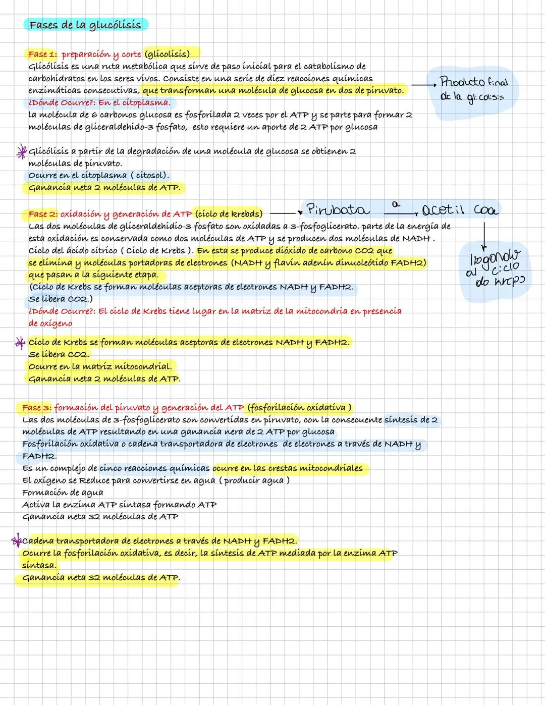 ¿Qué es la endocitosis?
Se trata de un proceso de incorporación de sustancias a la célula.
En el las sustancias se concentran en pequeñas de