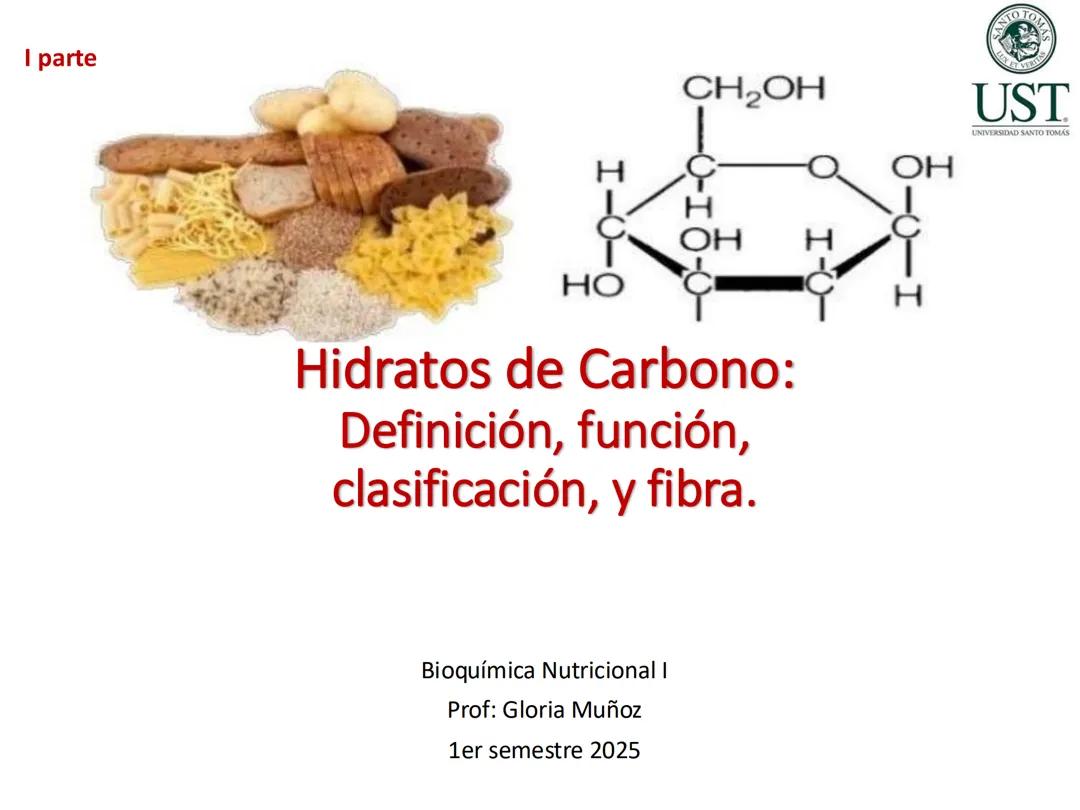 Carbohidratos; definición, función, clasificación y fibra