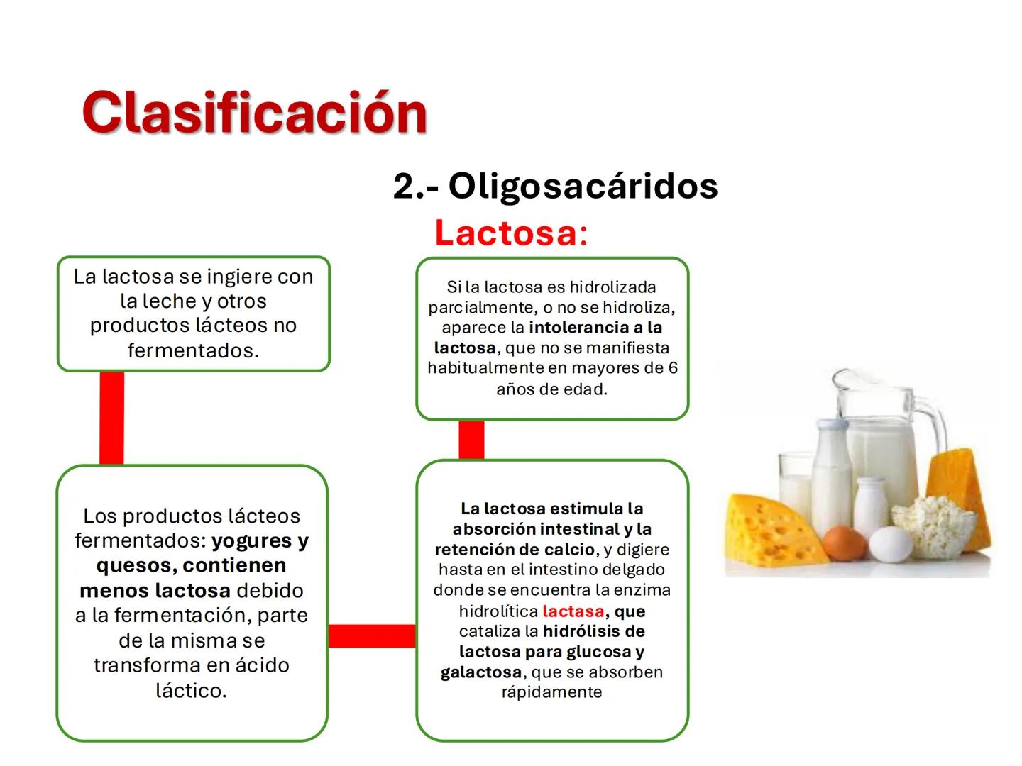 I parte
CH2OH
H
C
OH
H
C
OH
C
HO
C
H
Hidratos de Carbono:
Definición, función,
clasificación, y fibra.
Bioquímica Nutricional I
Prof: Glo