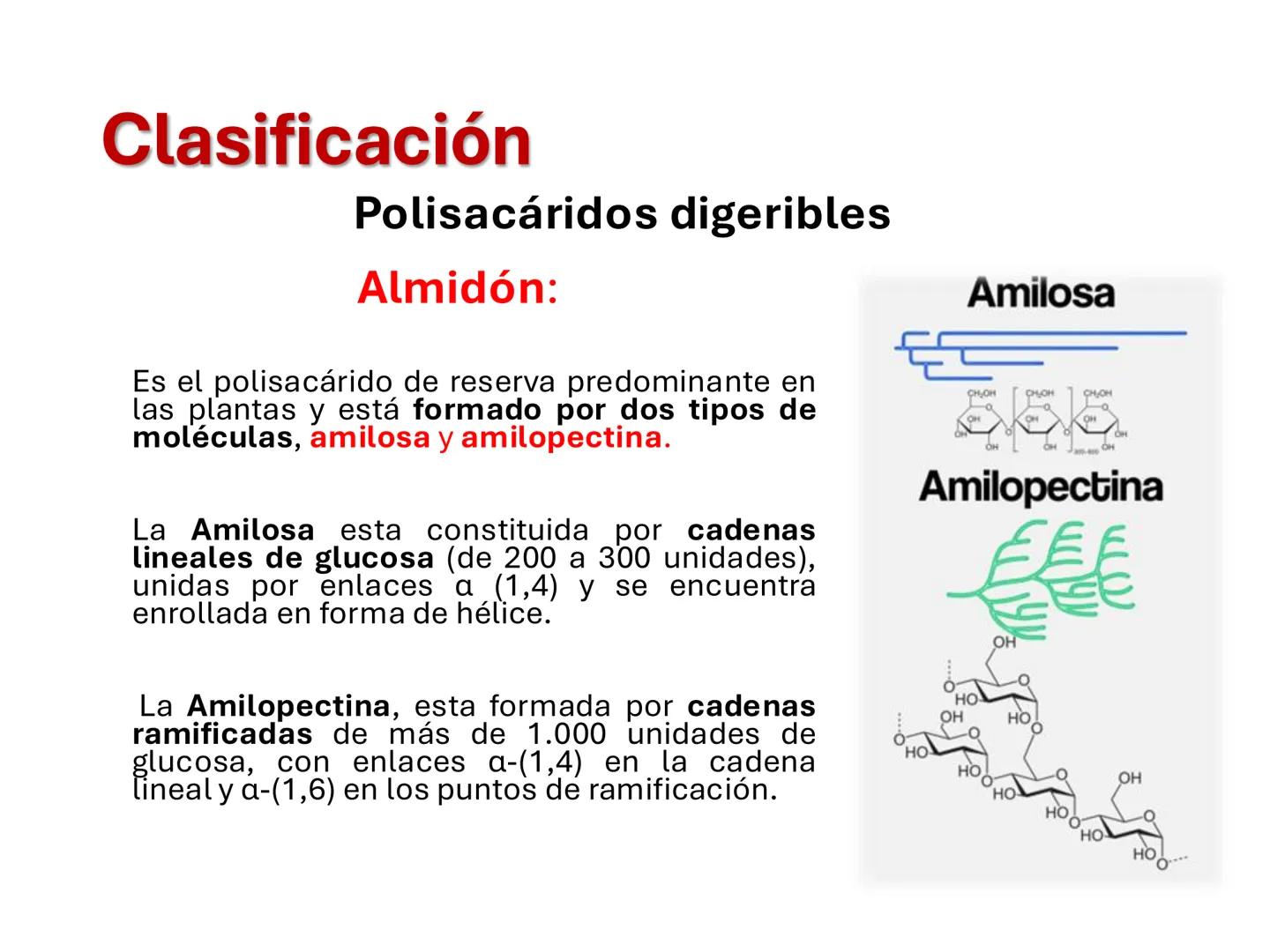I parte
CH2OH
H
C
OH
H
C
OH
C
HO
C
H
Hidratos de Carbono:
Definición, función,
clasificación, y fibra.
Bioquímica Nutricional I
Prof: Glo