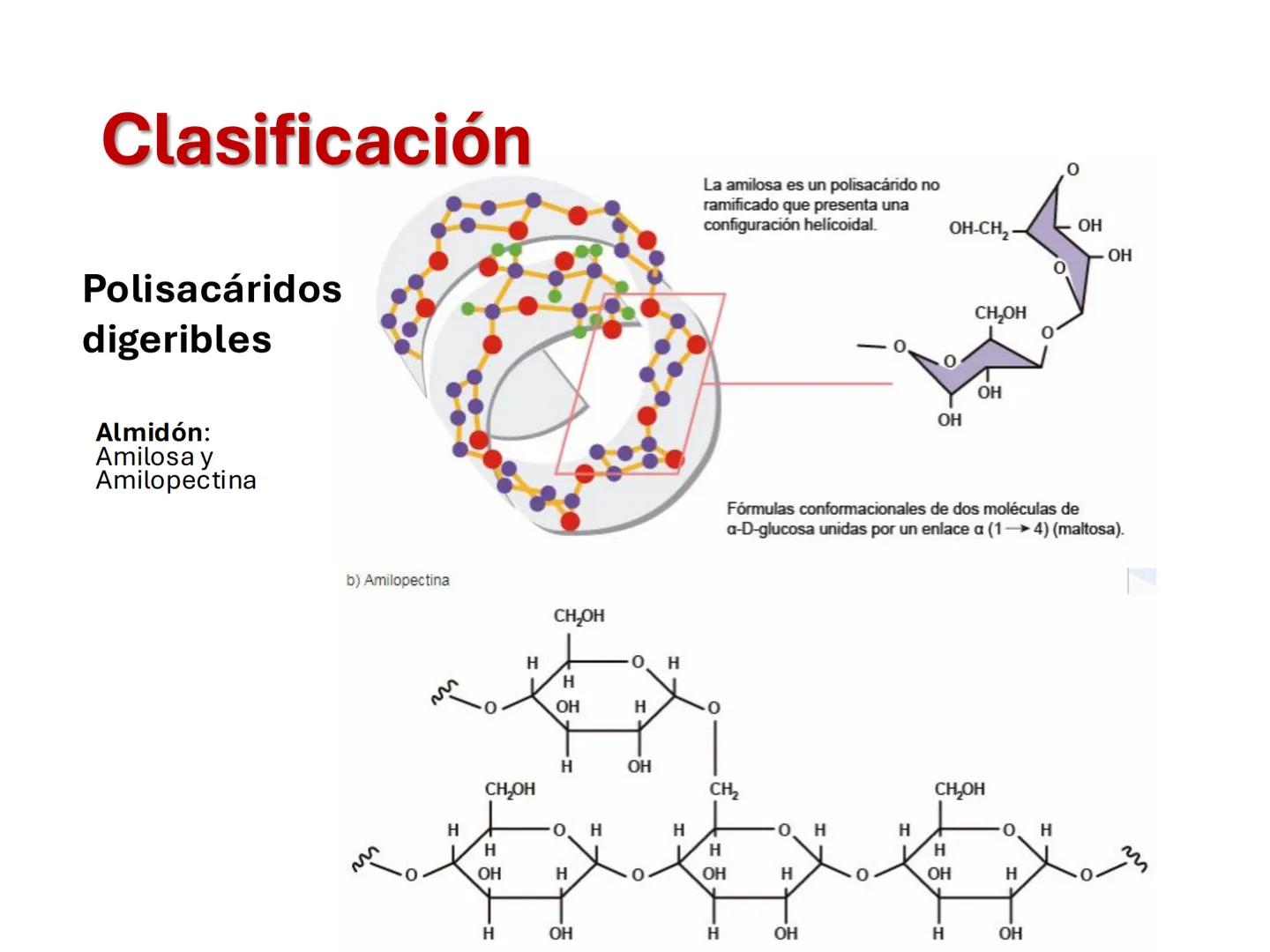 I parte
CH2OH
H
C
OH
H
C
OH
C
HO
C
H
Hidratos de Carbono:
Definición, función,
clasificación, y fibra.
Bioquímica Nutricional I
Prof: Glo