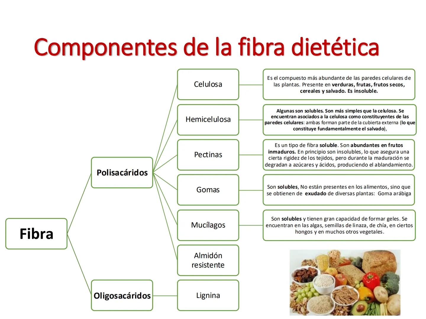 I parte
CH2OH
H
C
OH
H
C
OH
C
HO
C
H
Hidratos de Carbono:
Definición, función,
clasificación, y fibra.
Bioquímica Nutricional I
Prof: Glo