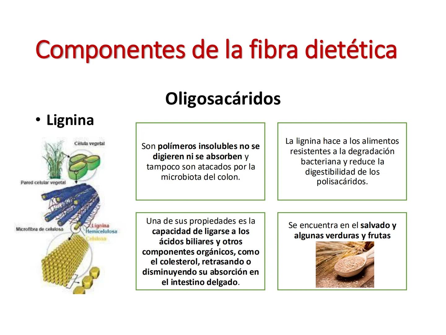 I parte
CH2OH
H
C
OH
H
C
OH
C
HO
C
H
Hidratos de Carbono:
Definición, función,
clasificación, y fibra.
Bioquímica Nutricional I
Prof: Glo