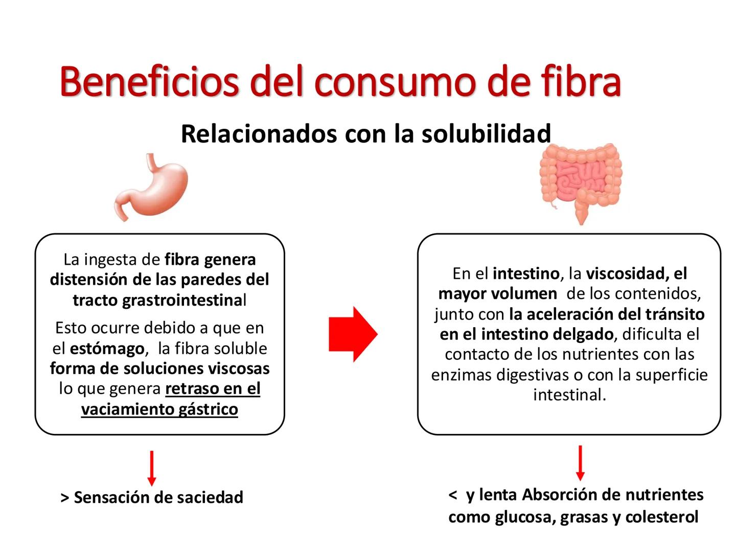 I parte
CH2OH
H
C
OH
H
C
OH
C
HO
C
H
Hidratos de Carbono:
Definición, función,
clasificación, y fibra.
Bioquímica Nutricional I
Prof: Glo