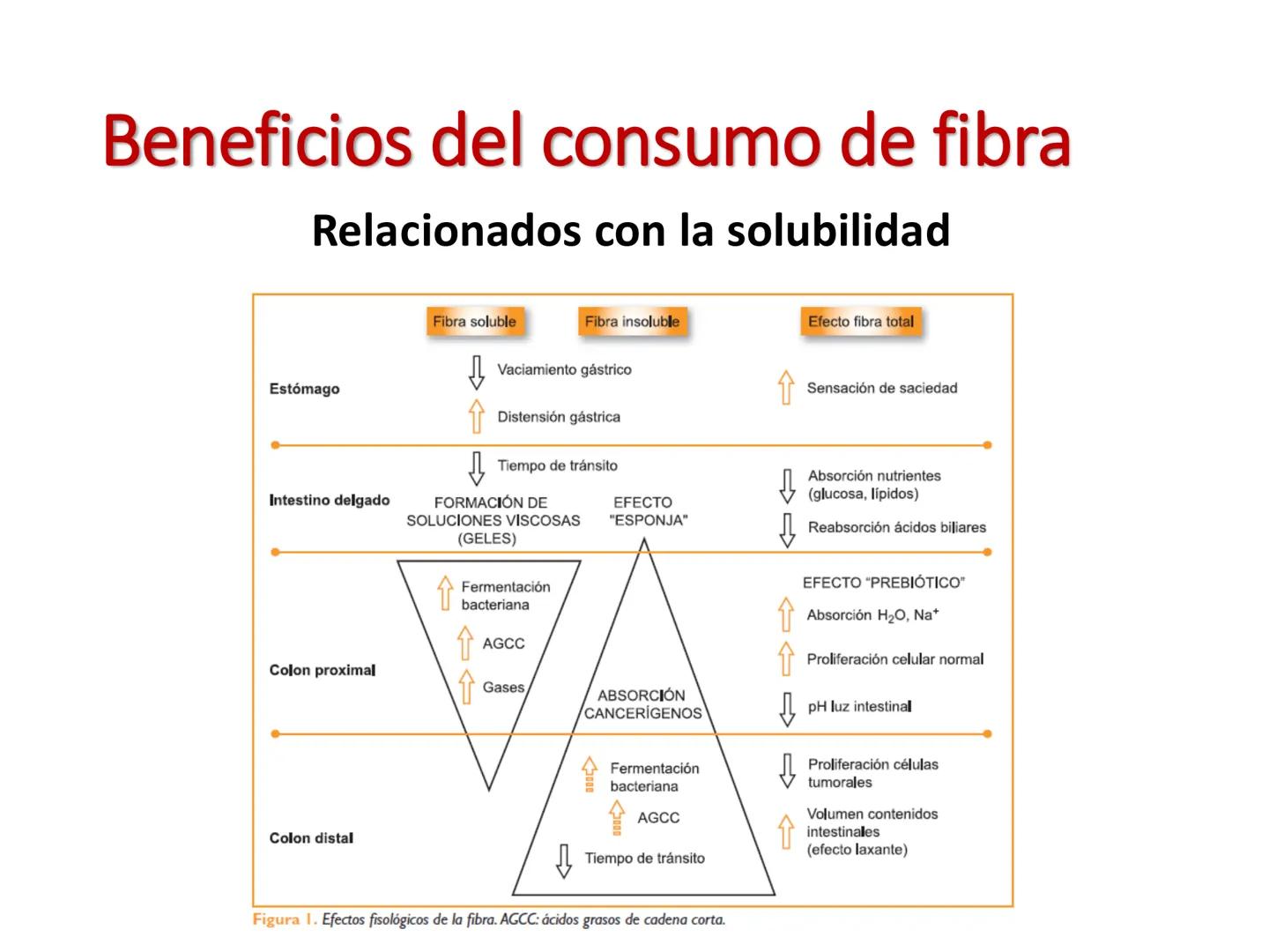 I parte
CH2OH
H
C
OH
H
C
OH
C
HO
C
H
Hidratos de Carbono:
Definición, función,
clasificación, y fibra.
Bioquímica Nutricional I
Prof: Glo