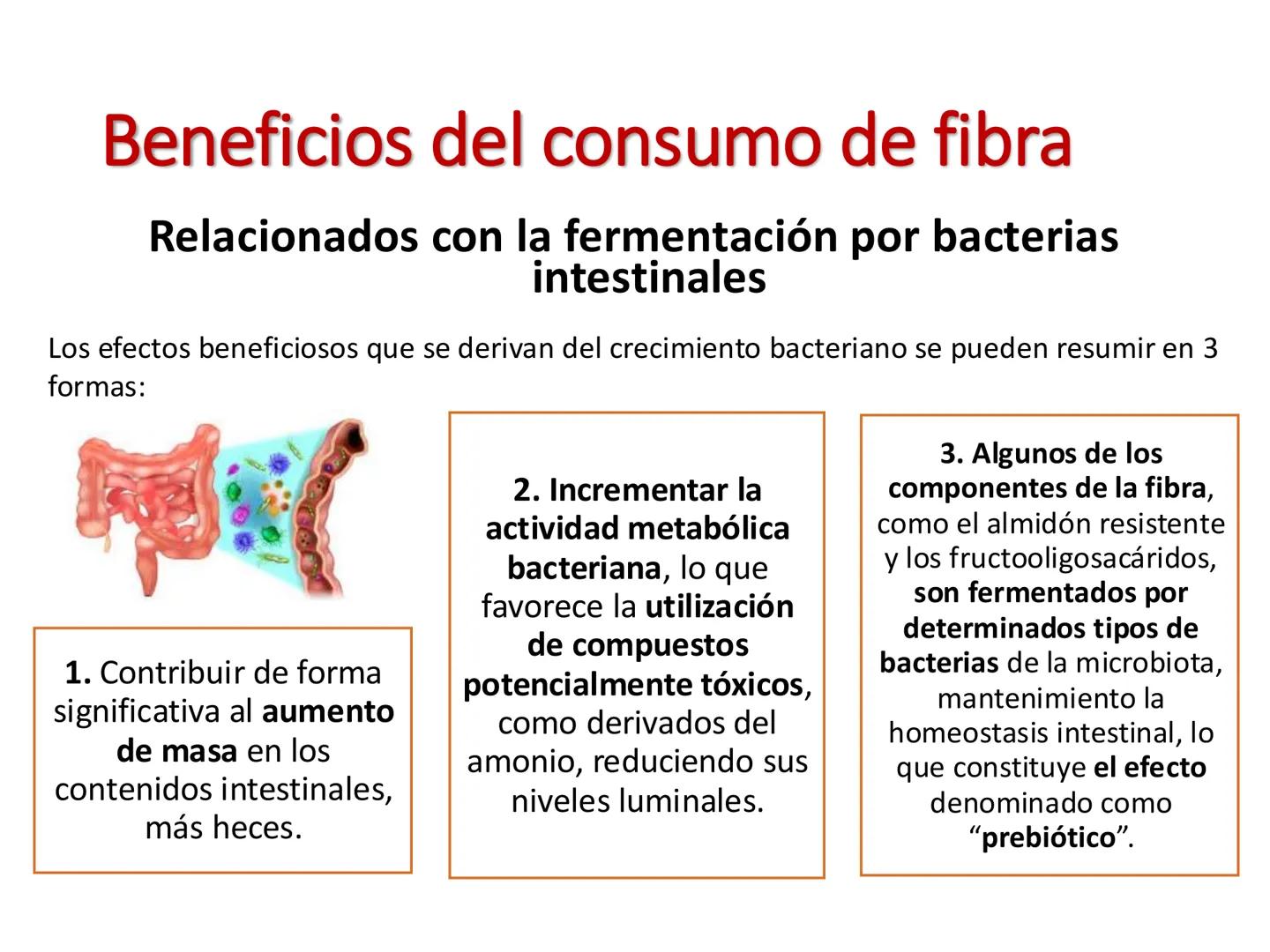I parte
CH2OH
H
C
OH
H
C
OH
C
HO
C
H
Hidratos de Carbono:
Definición, función,
clasificación, y fibra.
Bioquímica Nutricional I
Prof: Glo