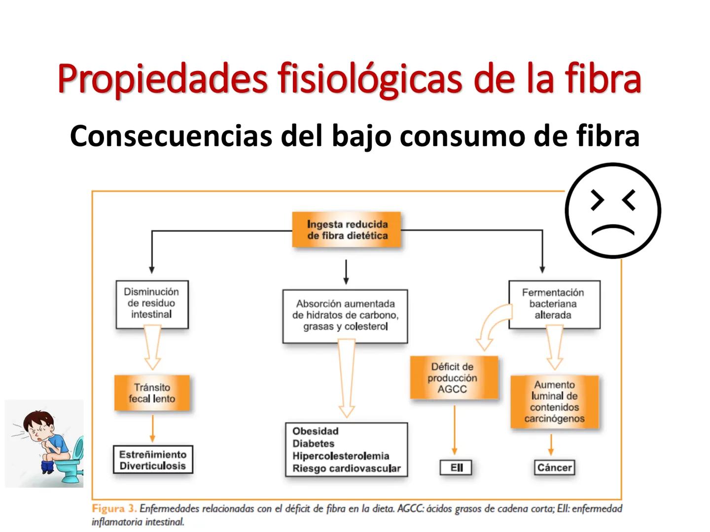 I parte
CH2OH
H
C
OH
H
C
OH
C
HO
C
H
Hidratos de Carbono:
Definición, función,
clasificación, y fibra.
Bioquímica Nutricional I
Prof: Glo