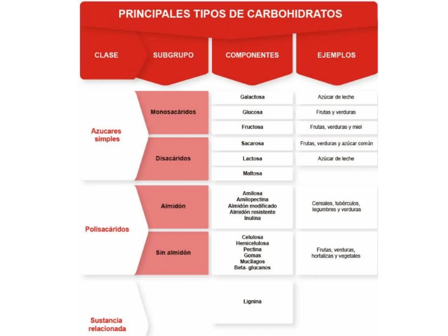 I parte
CH2OH
H
C
OH
H
C
OH
C
HO
C
H
Hidratos de Carbono:
Definición, función,
clasificación, y fibra.
Bioquímica Nutricional I
Prof: Glo