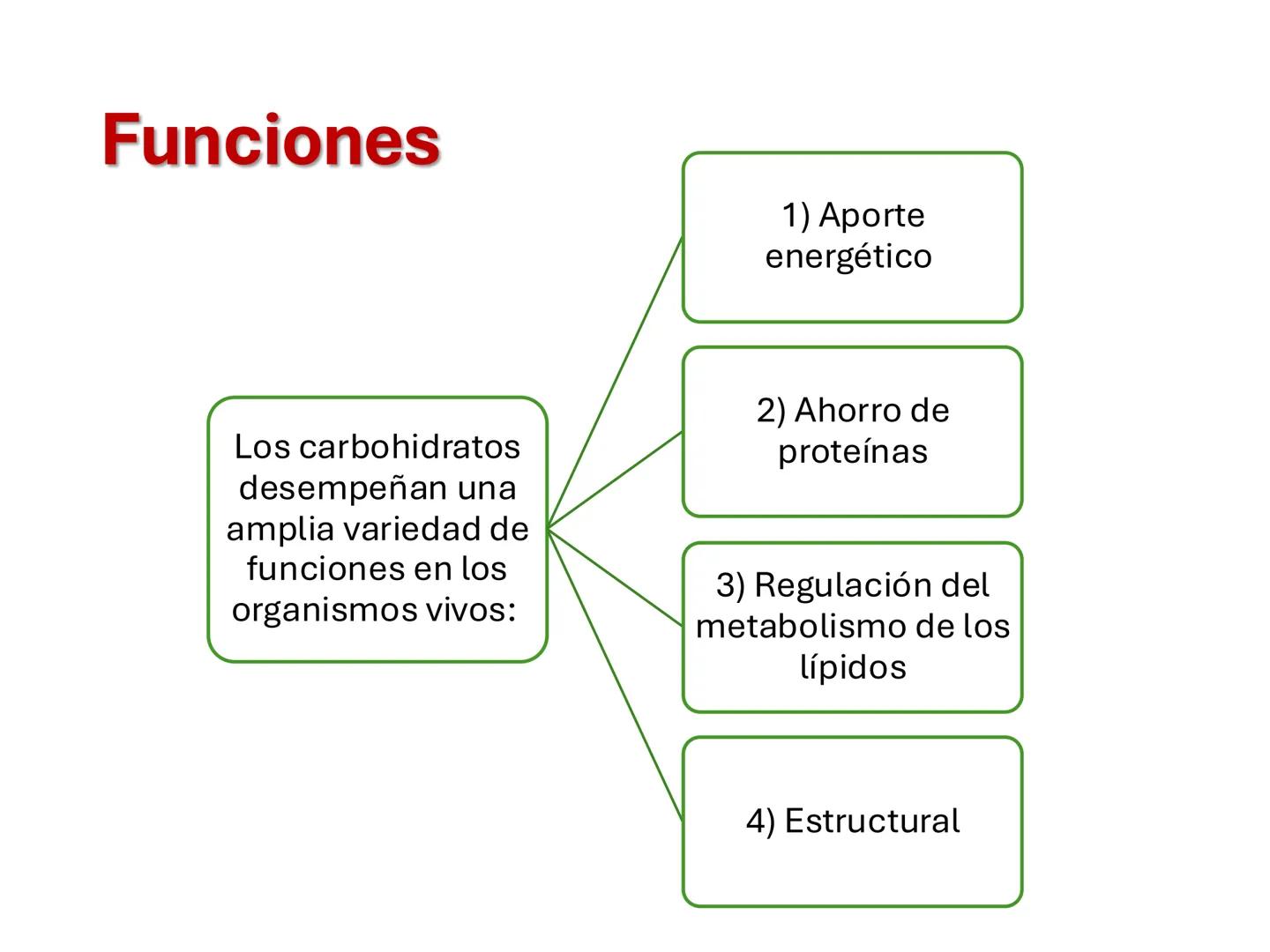 I parte
CH2OH
H
C
OH
H
C
OH
C
HO
C
H
Hidratos de Carbono:
Definición, función,
clasificación, y fibra.
Bioquímica Nutricional I
Prof: Glo
