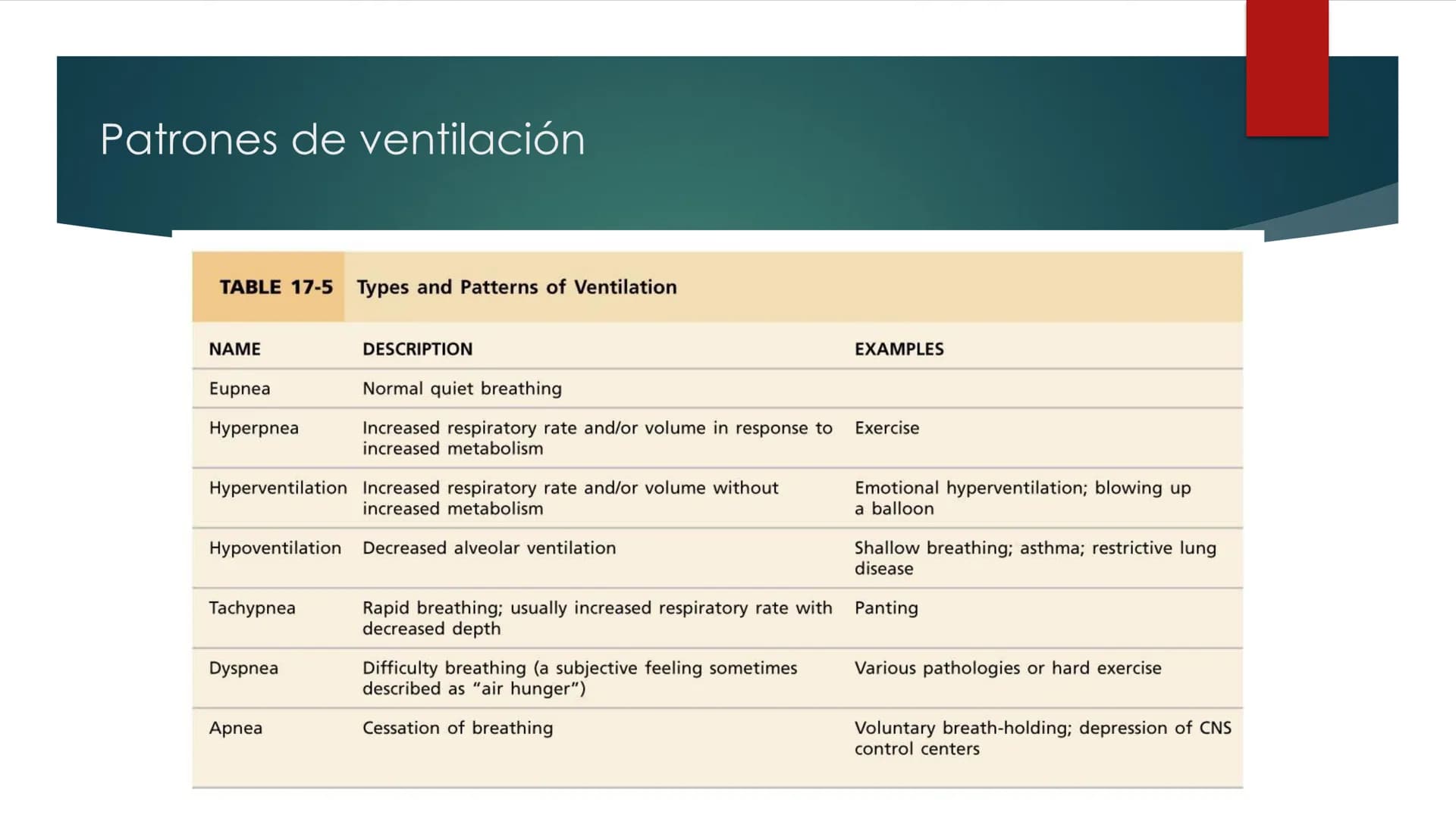 SANTO TOM
LUX ET VERITAS
SANTO
TOMAS Fisiología
Ventilación
Pulmonar
DRA. ROSANA MUÑOZ VIDELA
RDELVALLE2@SANTOTOMAS.CL
DEPARTAMENTO DE TECNO