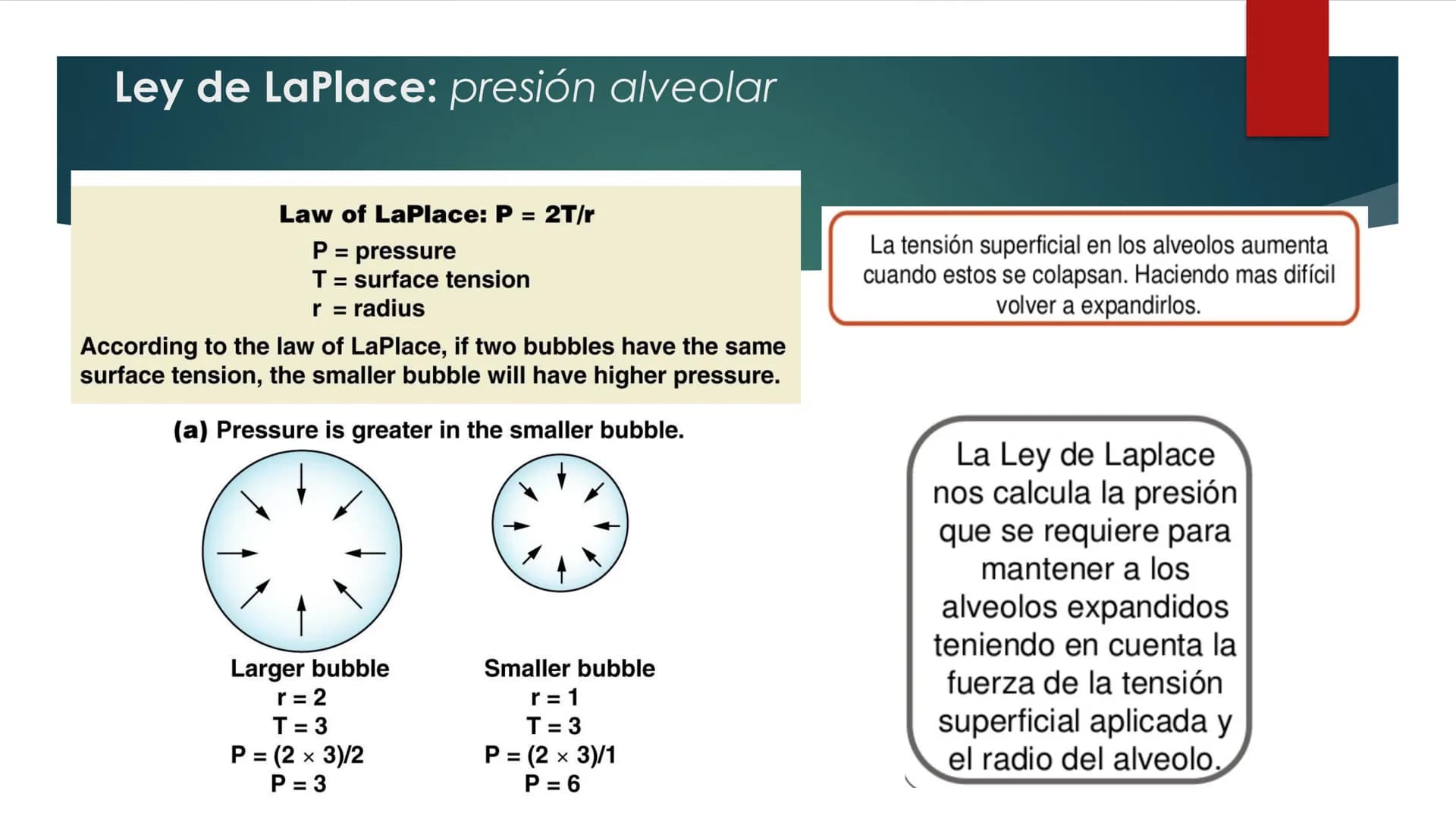 SANTO TOM
LUX ET VERITAS
SANTO
TOMAS Fisiología
Ventilación
Pulmonar
DRA. ROSANA MUÑOZ VIDELA
RDELVALLE2@SANTOTOMAS.CL
DEPARTAMENTO DE TECNO