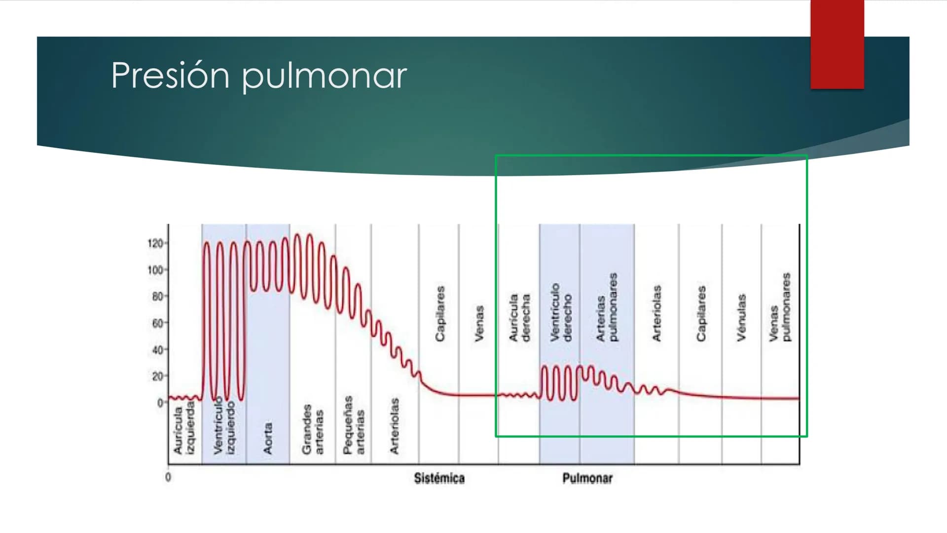 SANTO TOM
LUX ET VERITAS
SANTO
TOMAS Fisiología
Ventilación
Pulmonar
DRA. ROSANA MUÑOZ VIDELA
RDELVALLE2@SANTOTOMAS.CL
DEPARTAMENTO DE TECNO